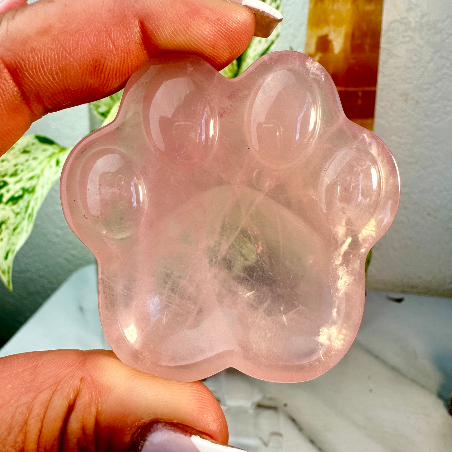 Rose Quartz Cat-Themed Dishes — You Pick
Love | Comfort | Heart Healing