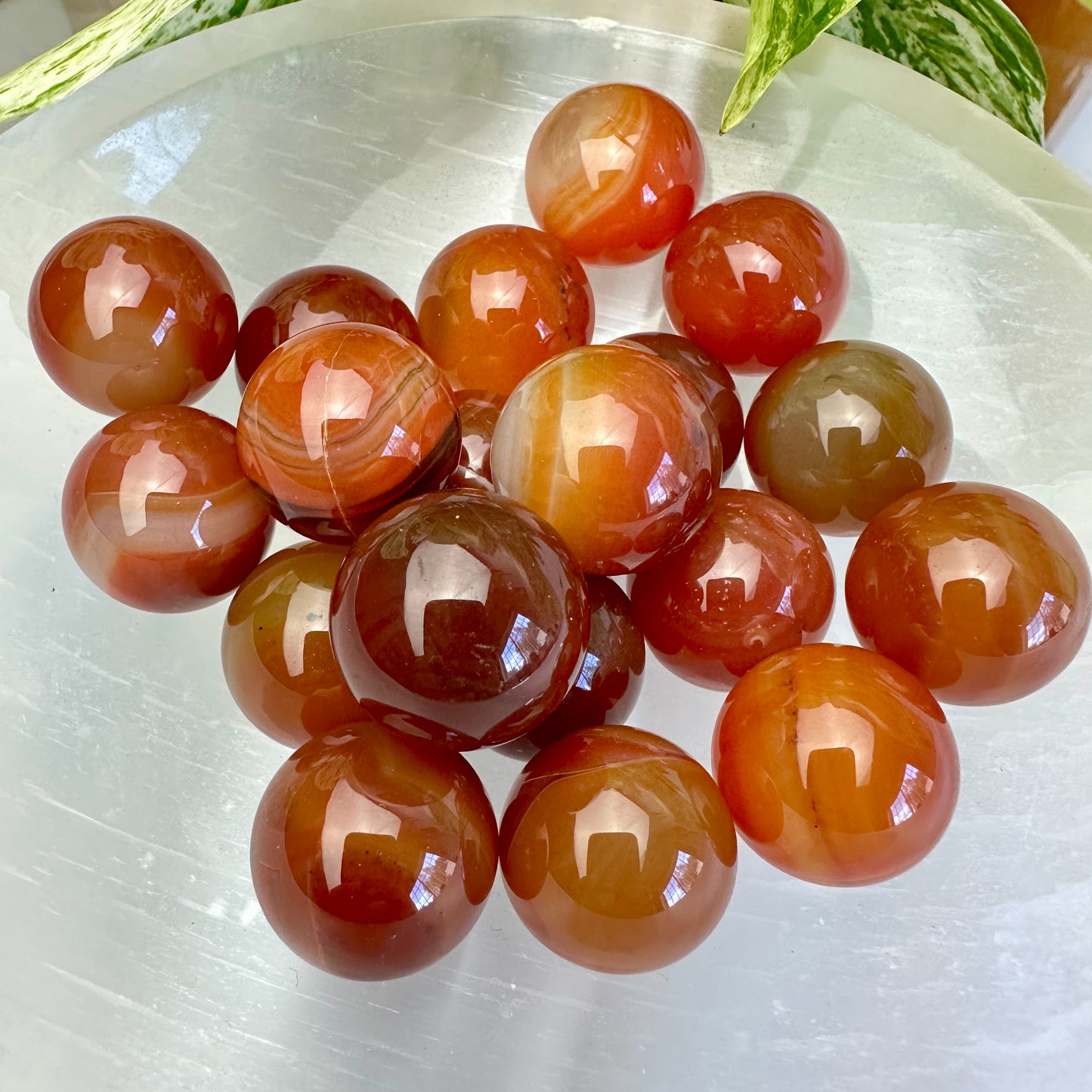 Mini Carnelian Spheres - 20mm