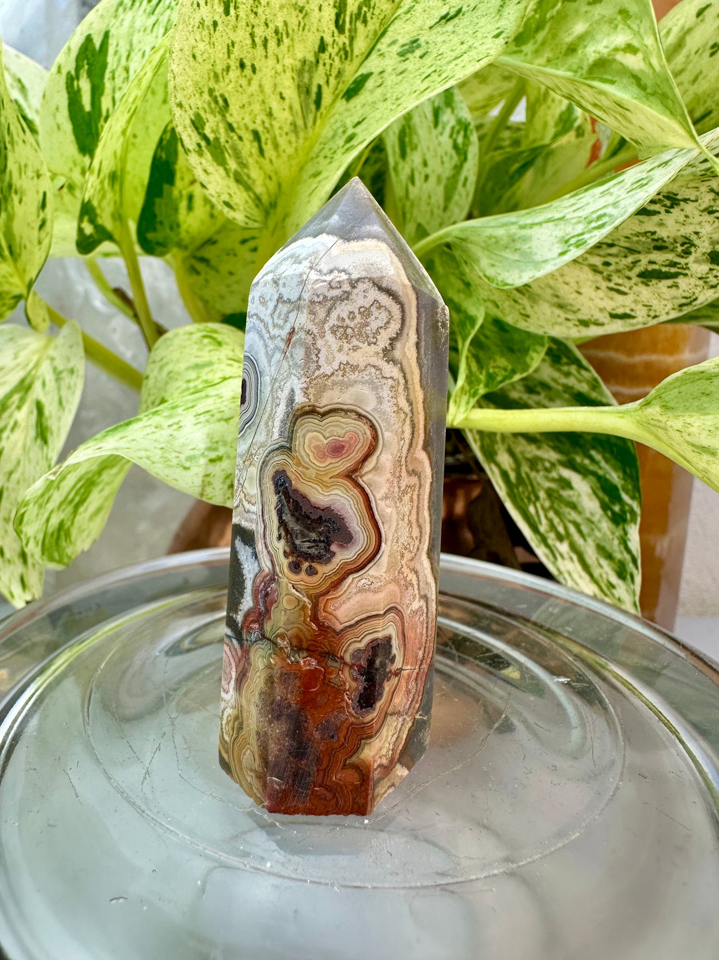 Crazy Lace Agate Points – You Pick
Joy | Focus | Inner Stability