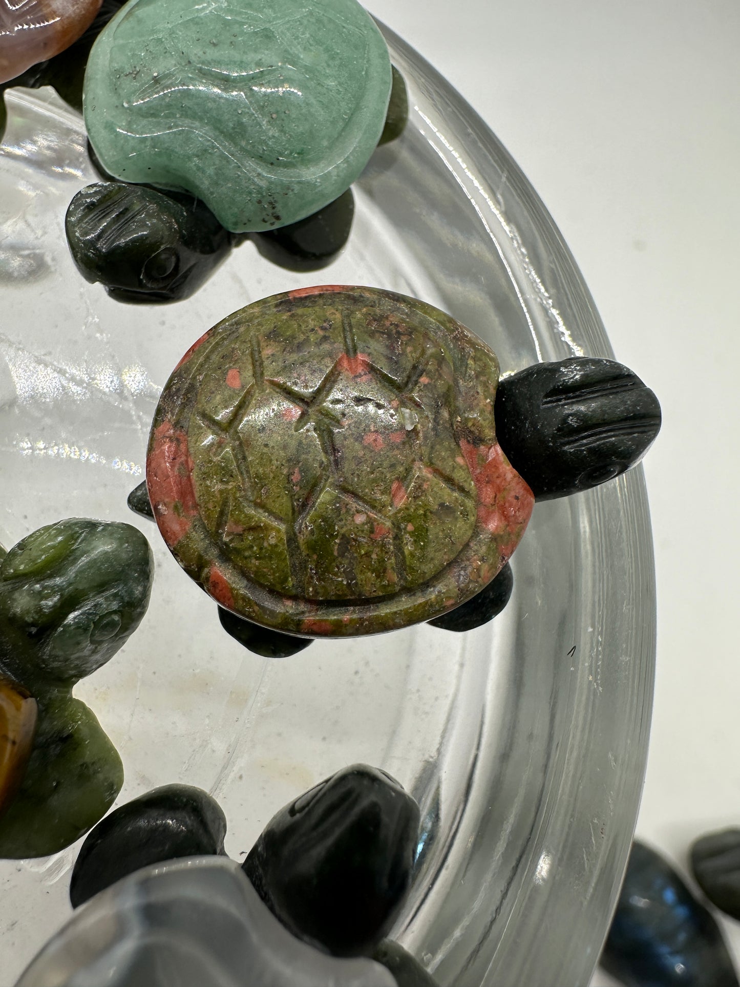 Tiny Turtles - Katie's Mystic Crystals