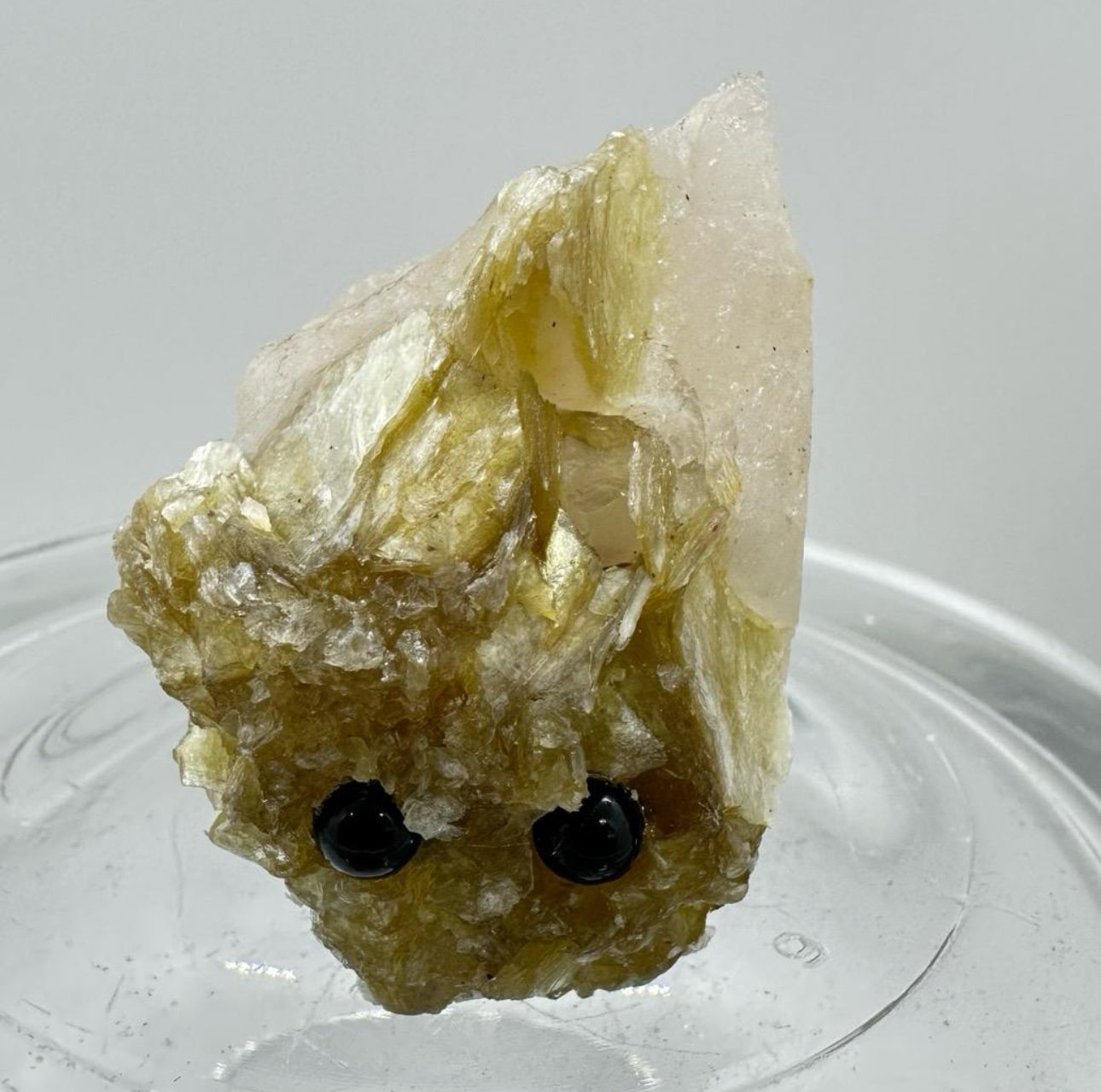 Crystal Critters - Specimen