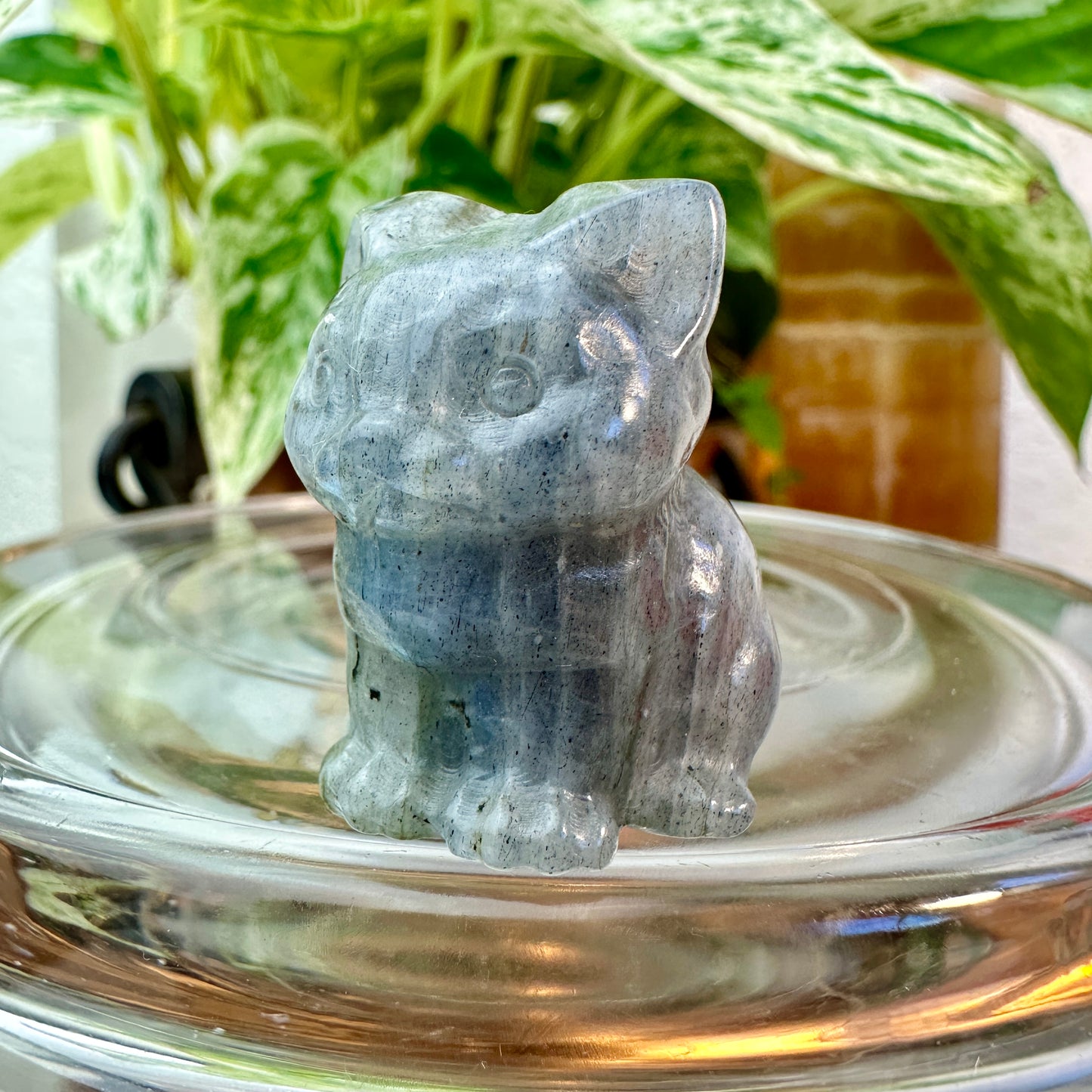 Mini Crystal Cats — 0.25 to 2 inches Whimsy | Protection | Energy Companions