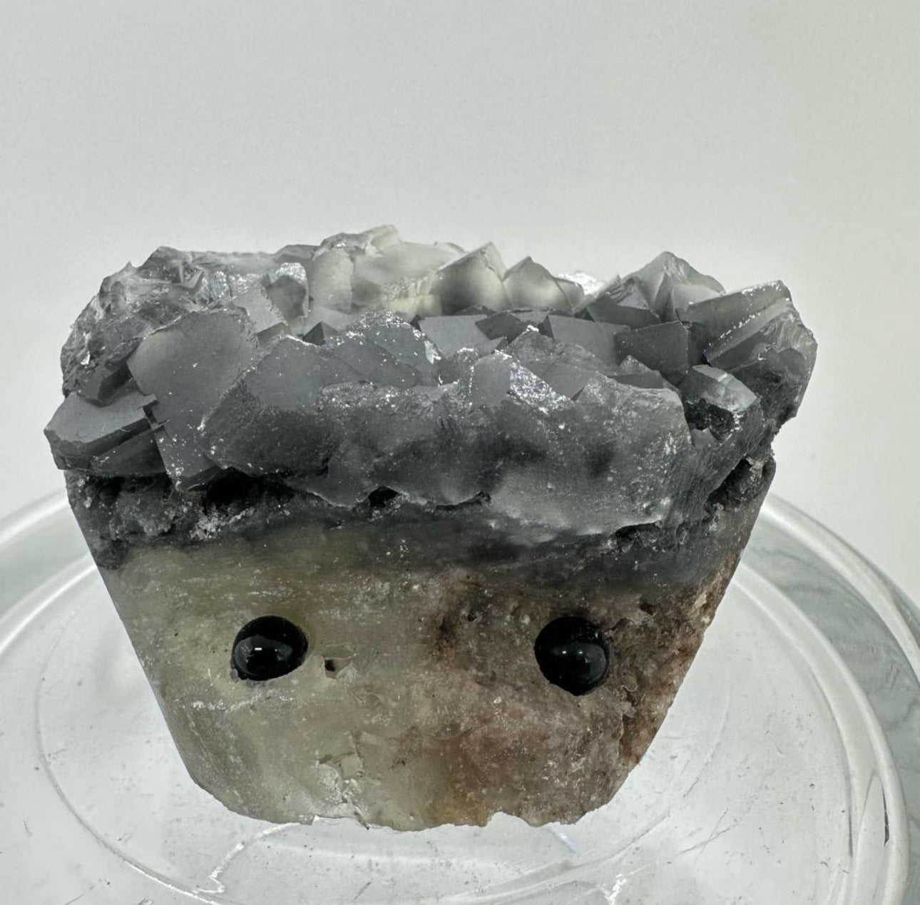 Crystal Critters - Specimen