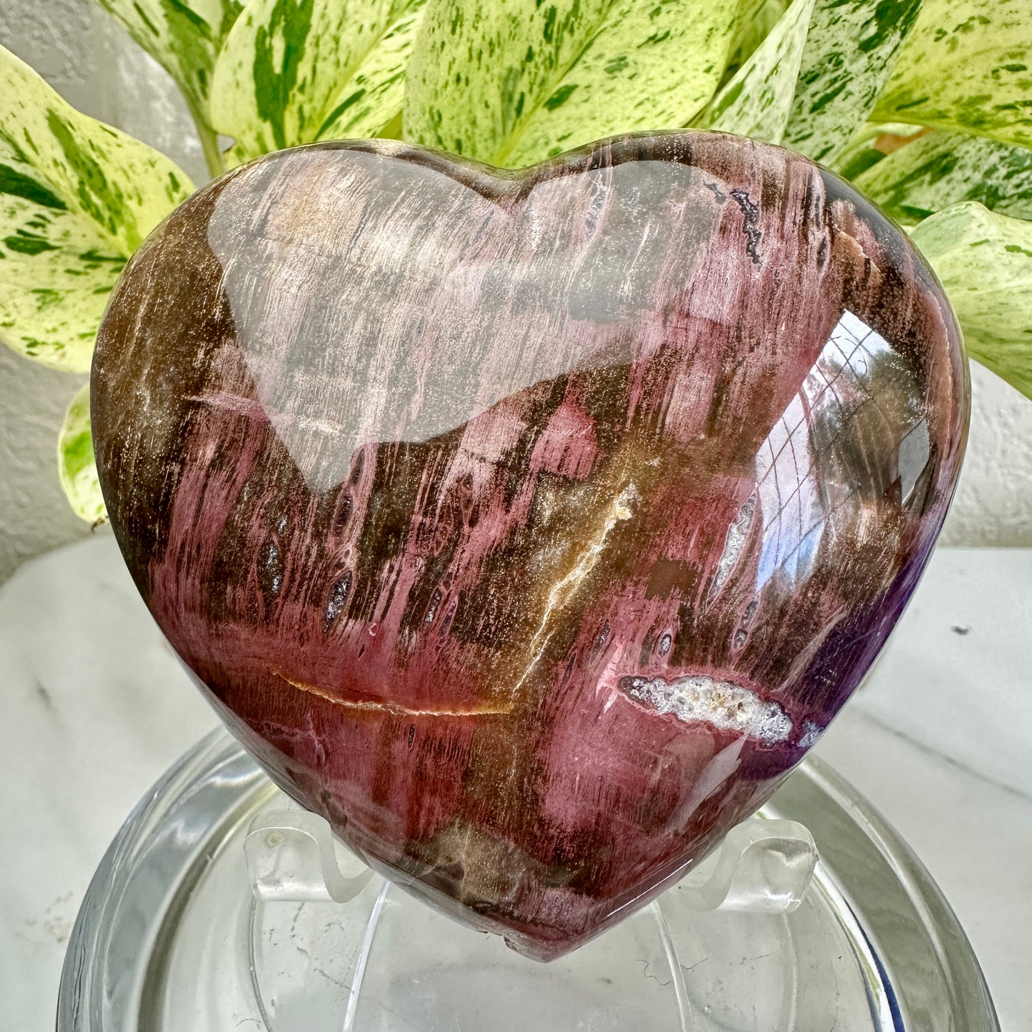 Petrified Wood Heart 1lb 2.7oz