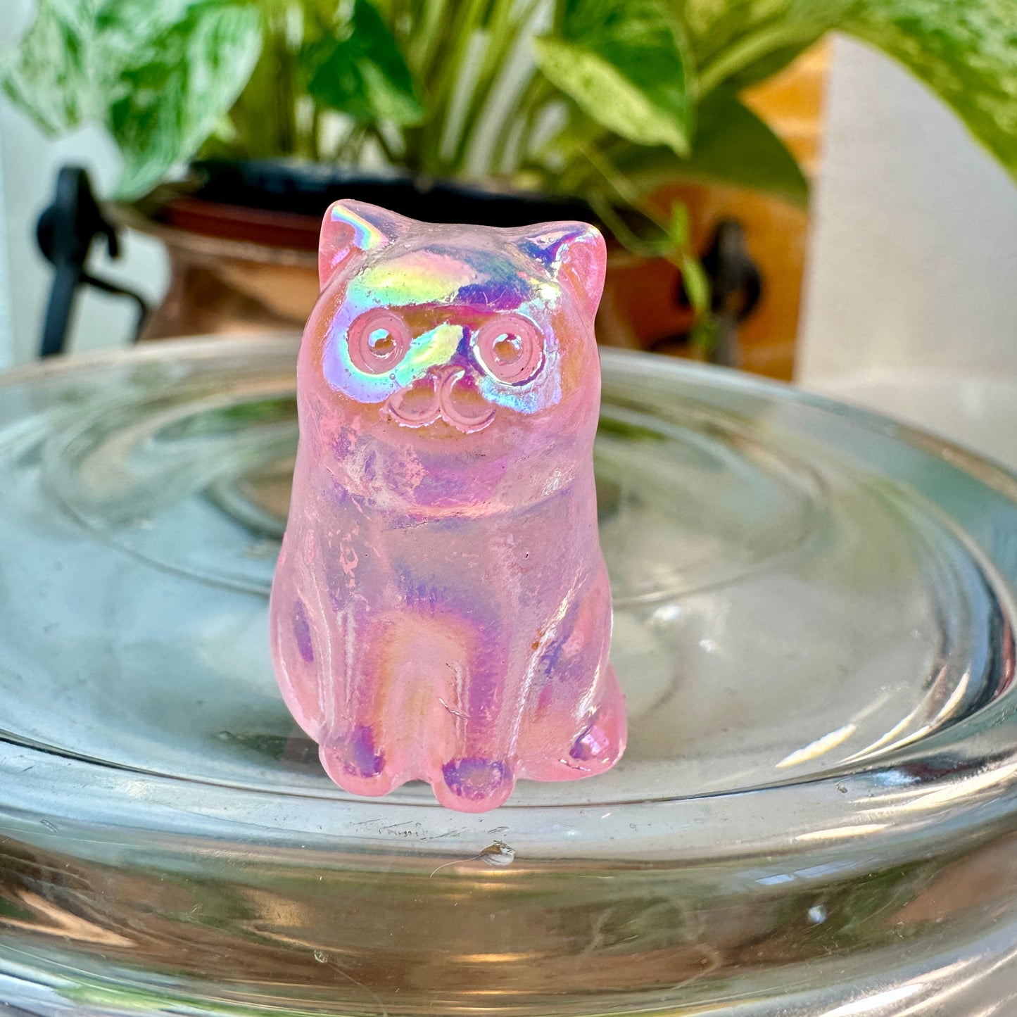 ✨ Mini Crystal Fluffy Cats — Carved in Yellow Jasper, Obsidian, Howlite, Red Vein Jasper, Spiderweb Jasper & Aura Rose Quartz ✨
Adorable Companions • Pocket-Sized Joy • Energy-Infused Decor