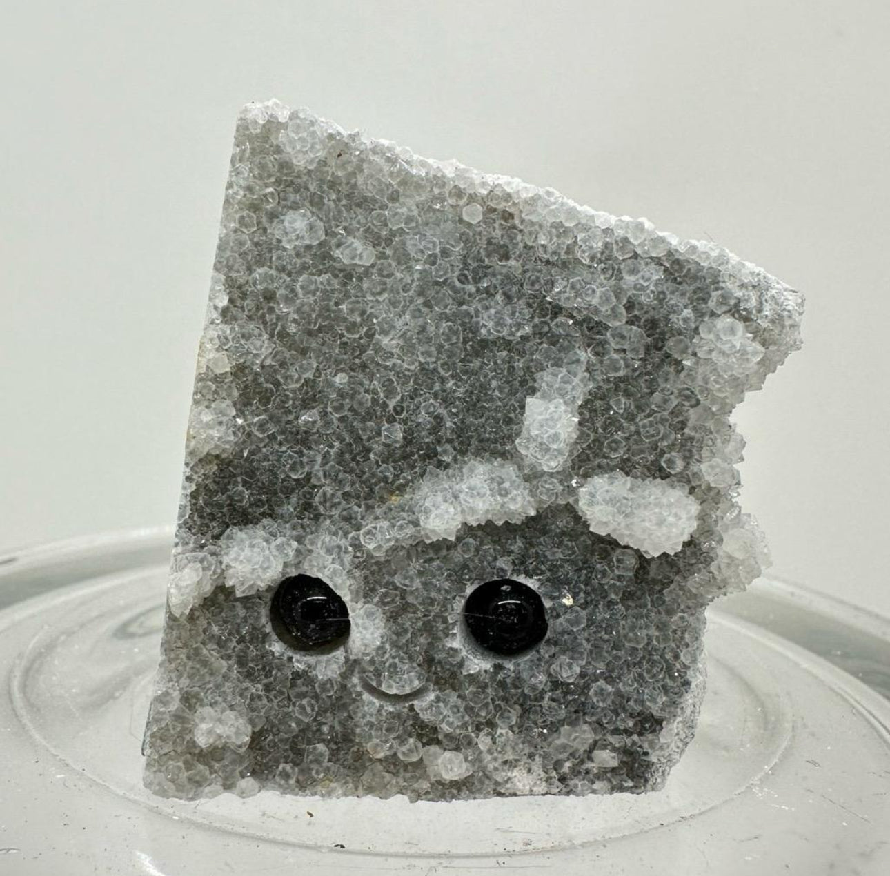 Crystal Critters - Specimen