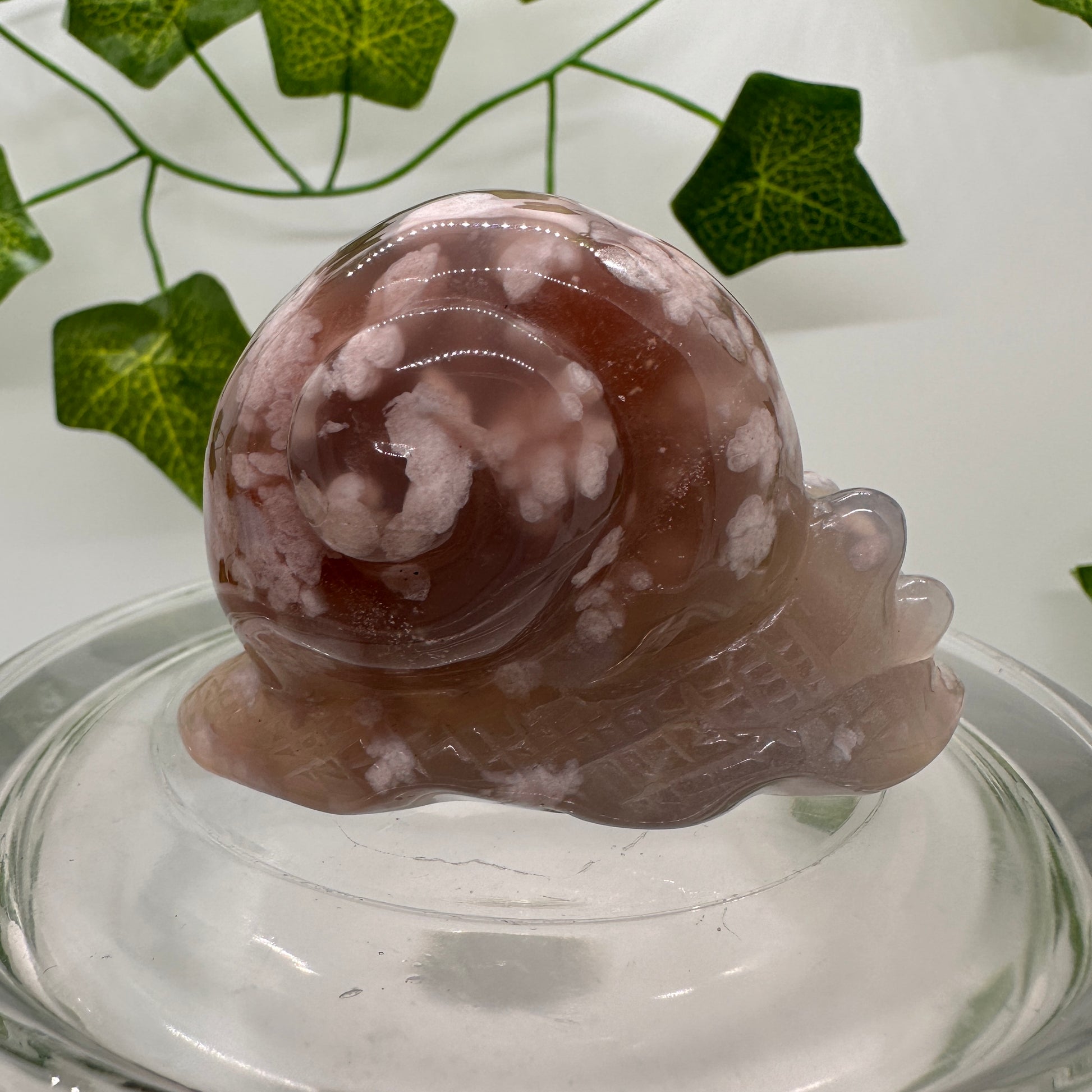 Flower Agate Snail (A) - Katie's Mystic Crystals