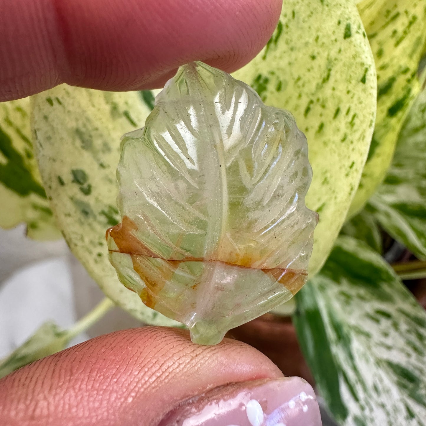 Mini Leaf Carvings - 1 Inch - Katie's Mystic Crystals