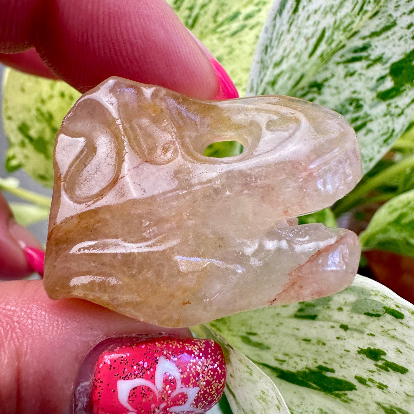 Crystal T-Rex Skulls