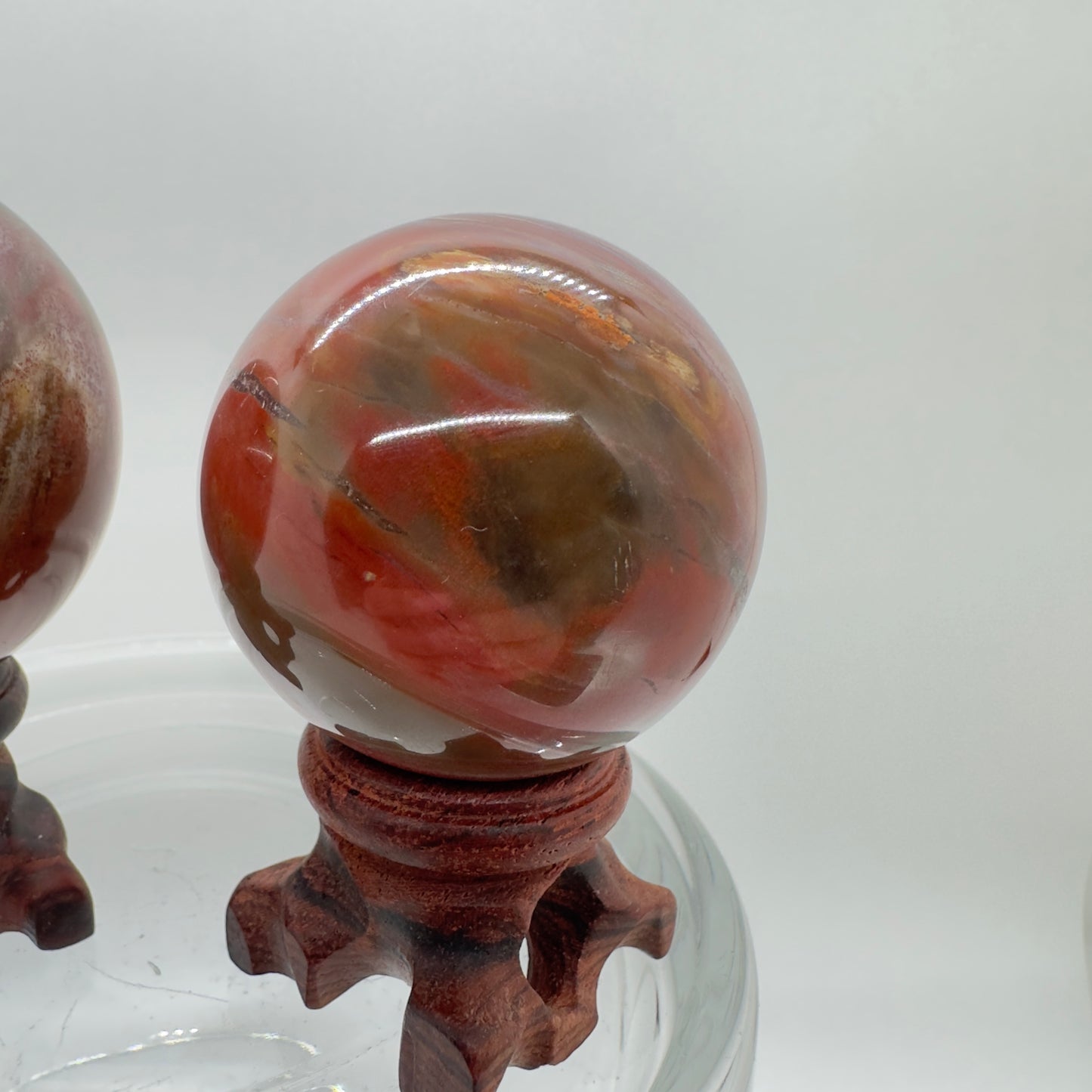 Petrified Wood Spheres - Katie's Mystic Crystals