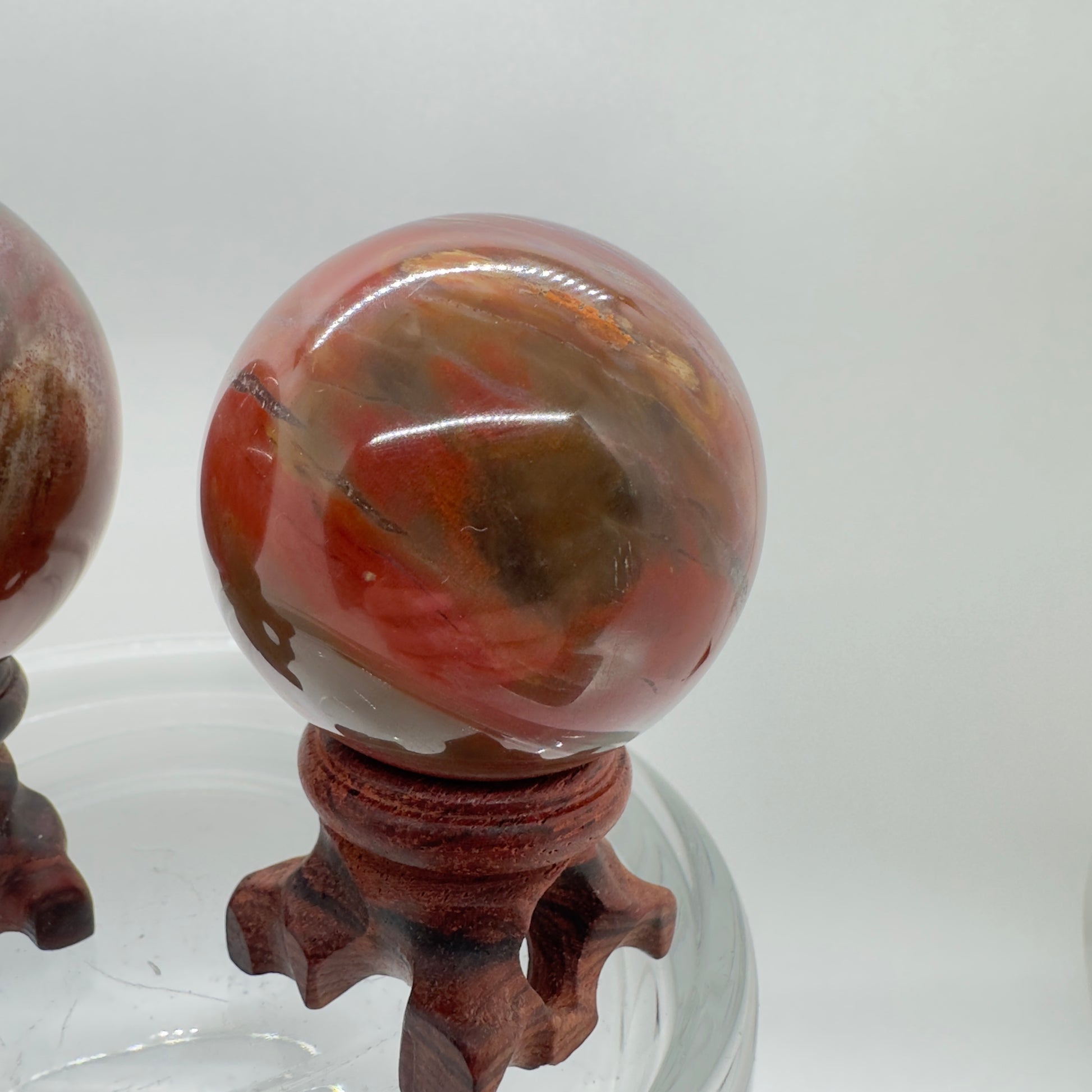 Petrified Wood Spheres - Katie's Mystic Crystals