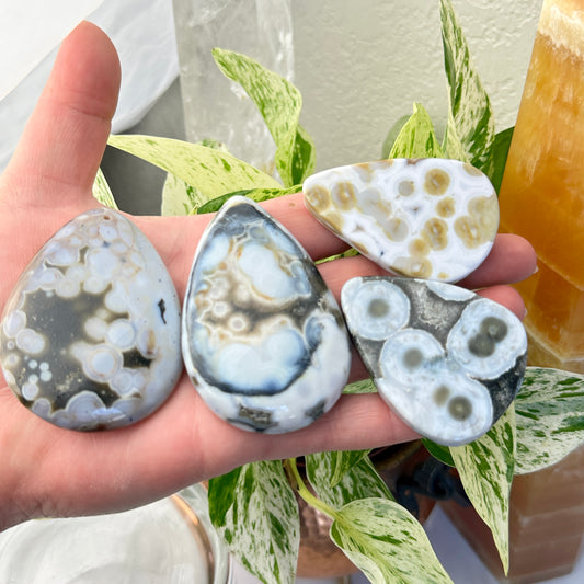 Ocean Jasper Cabs