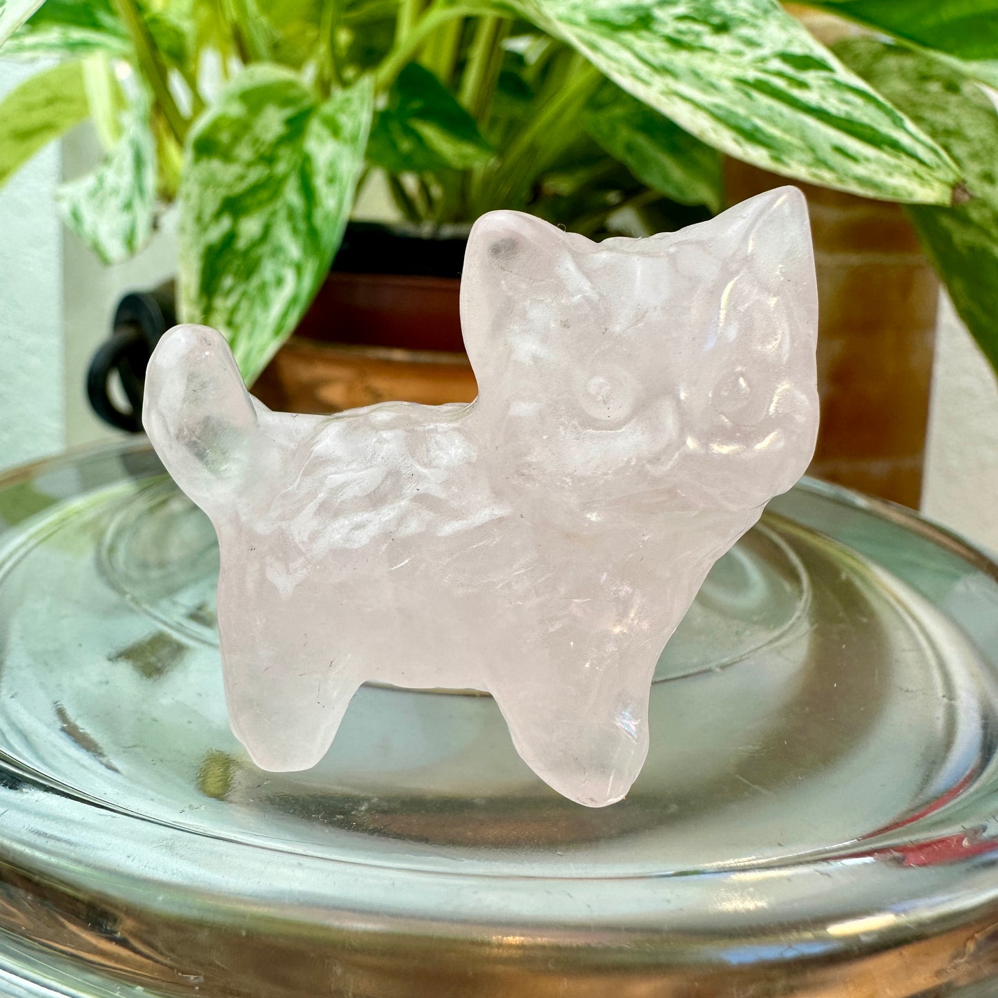 Mini Crystal Cats — 0.25 to 2 inches Whimsy | Protection | Energy Companions