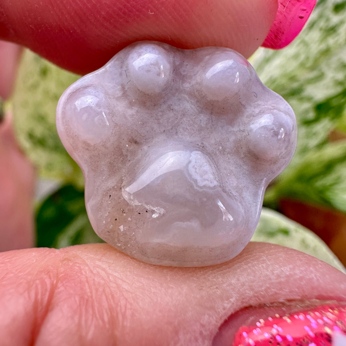 Mini Flower Agate Pet Paw