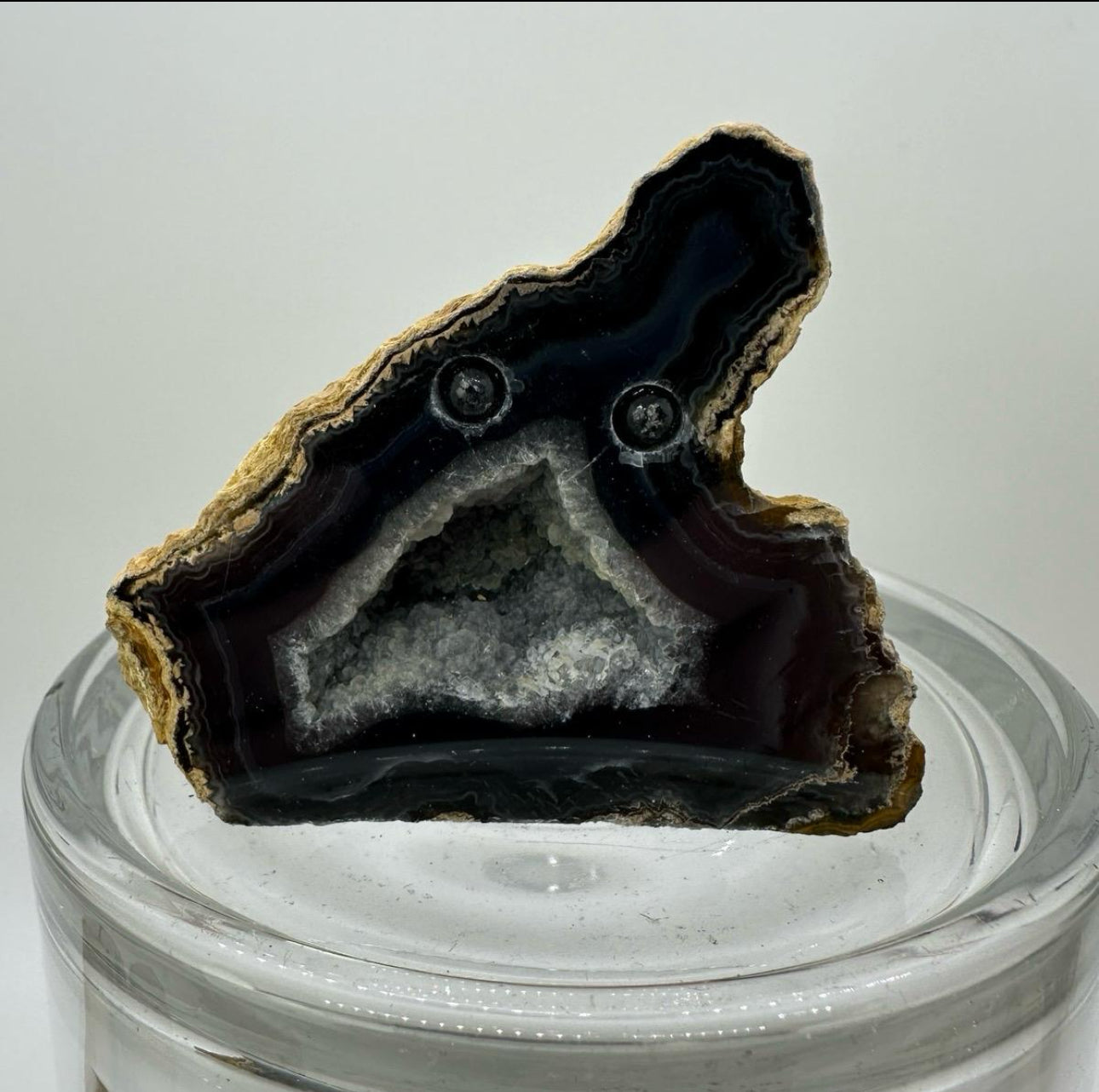 Crystal Critters- Geodes