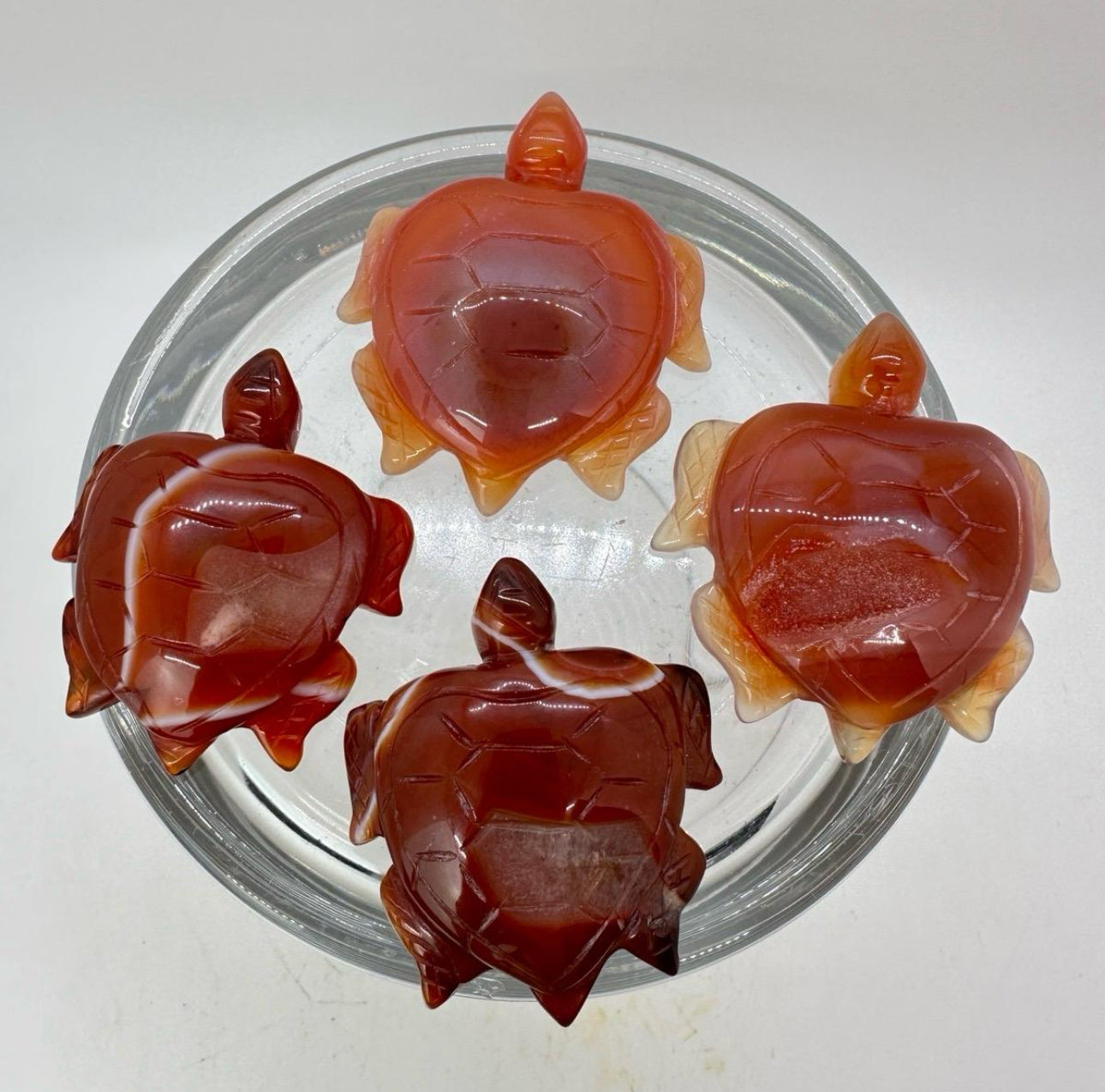 Carnelian Agate Sea Turtle - Heat Treated