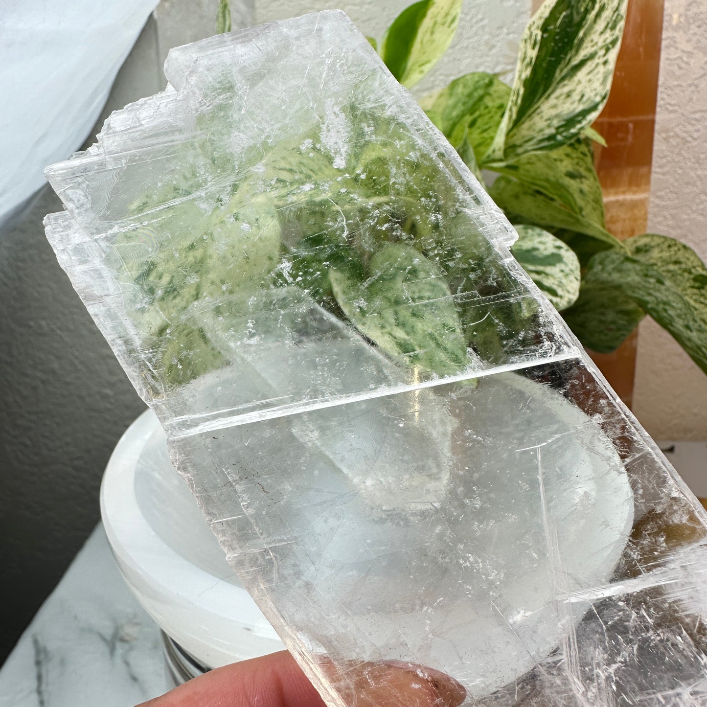 Raw Selenite Slabs — 2–5 oz Each
Cleansing | Light | Energy Amplifier