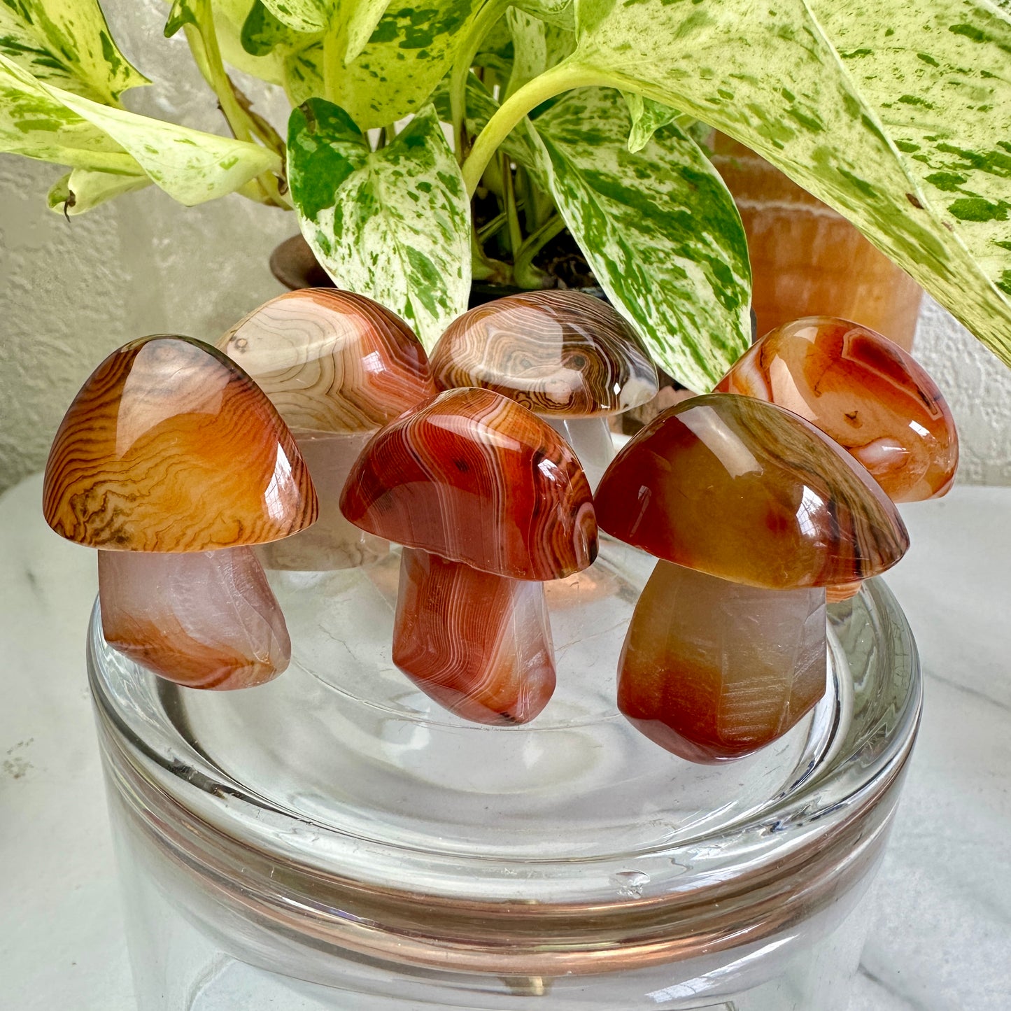 Sardonyx Mushrooms - Katie's Mystic Crystals