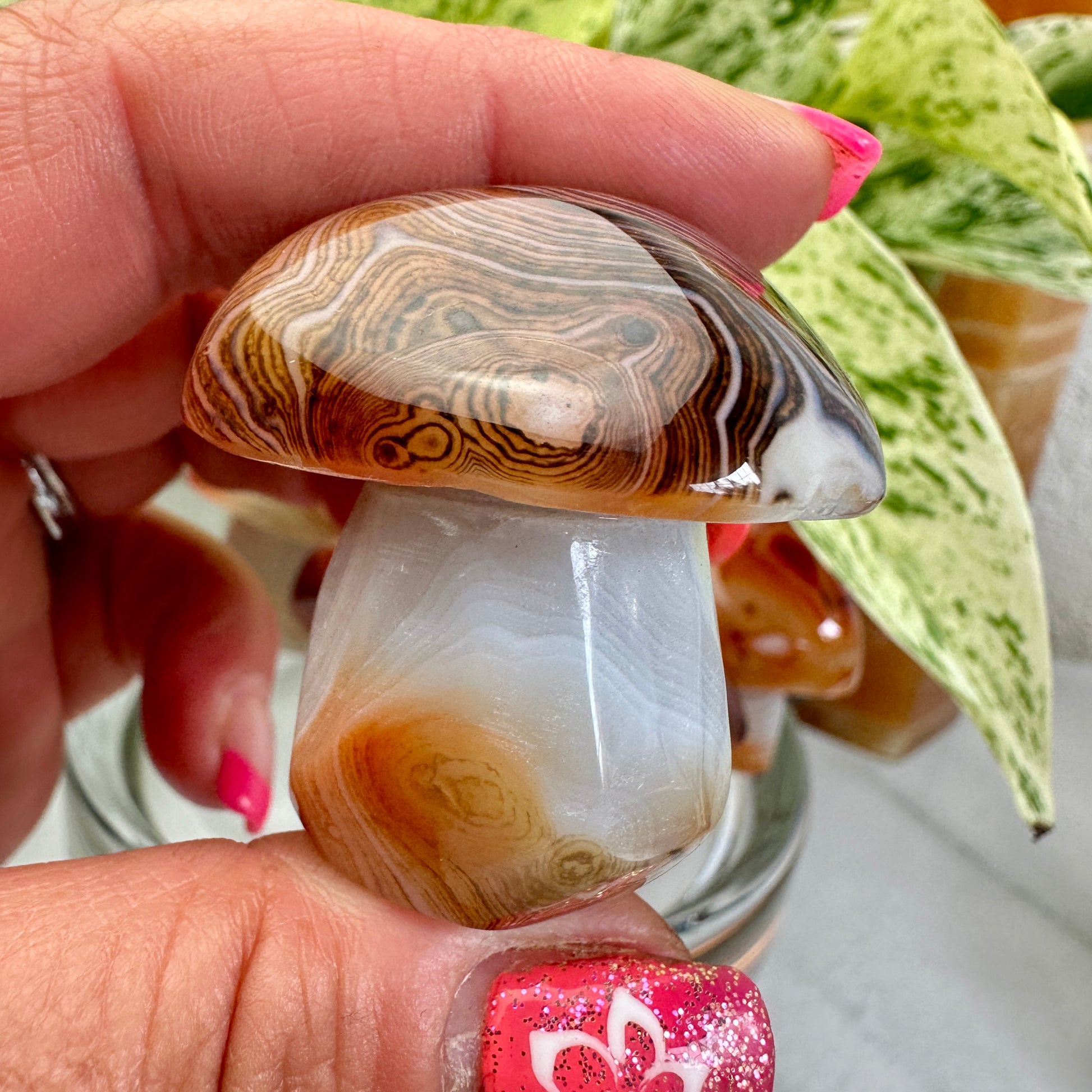 Sardonyx Mushrooms - Katie's Mystic Crystals