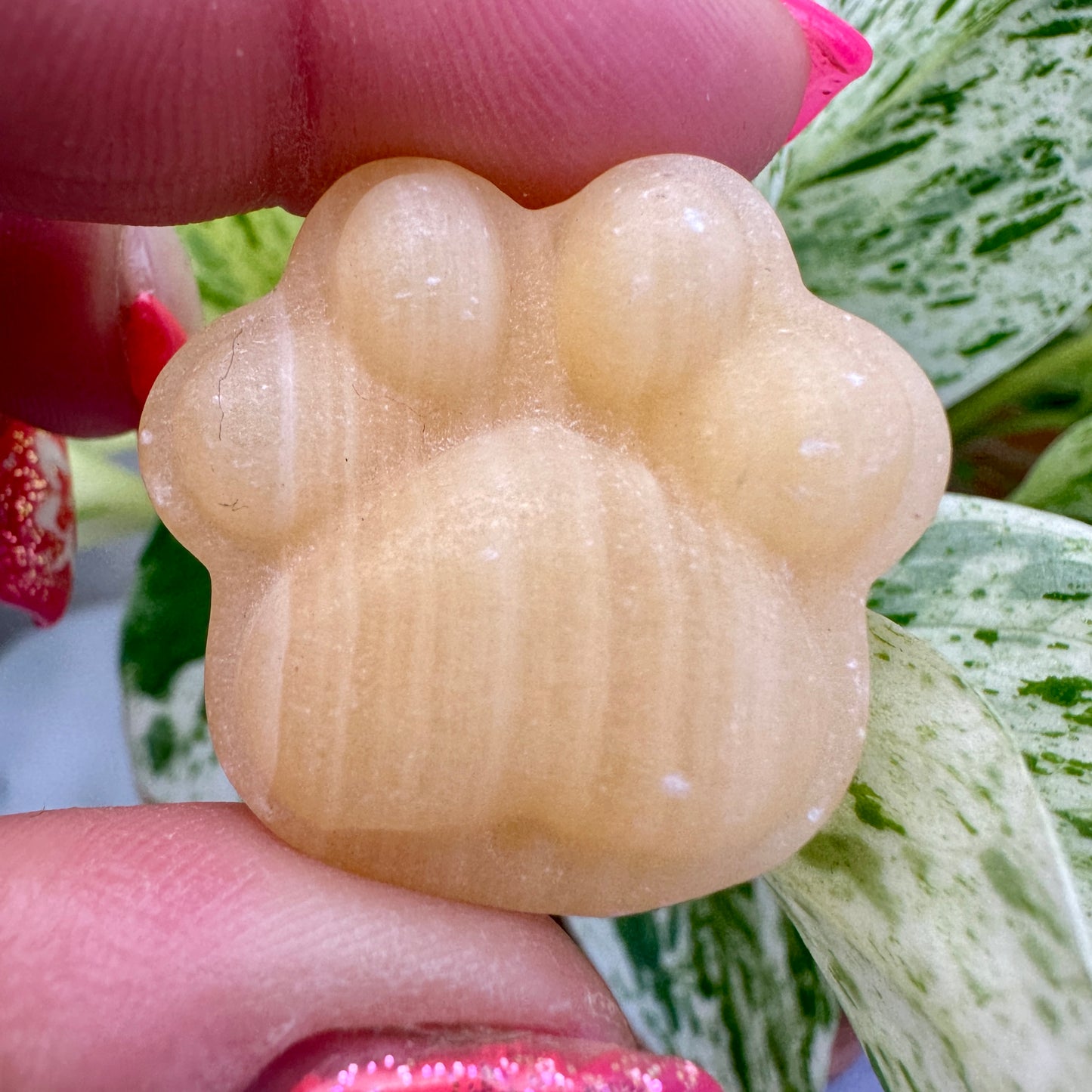 Crystal Pet Paw