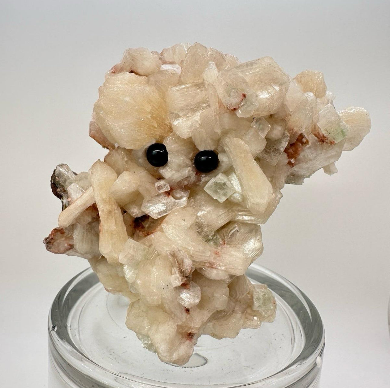 Crystal Critters LARGE