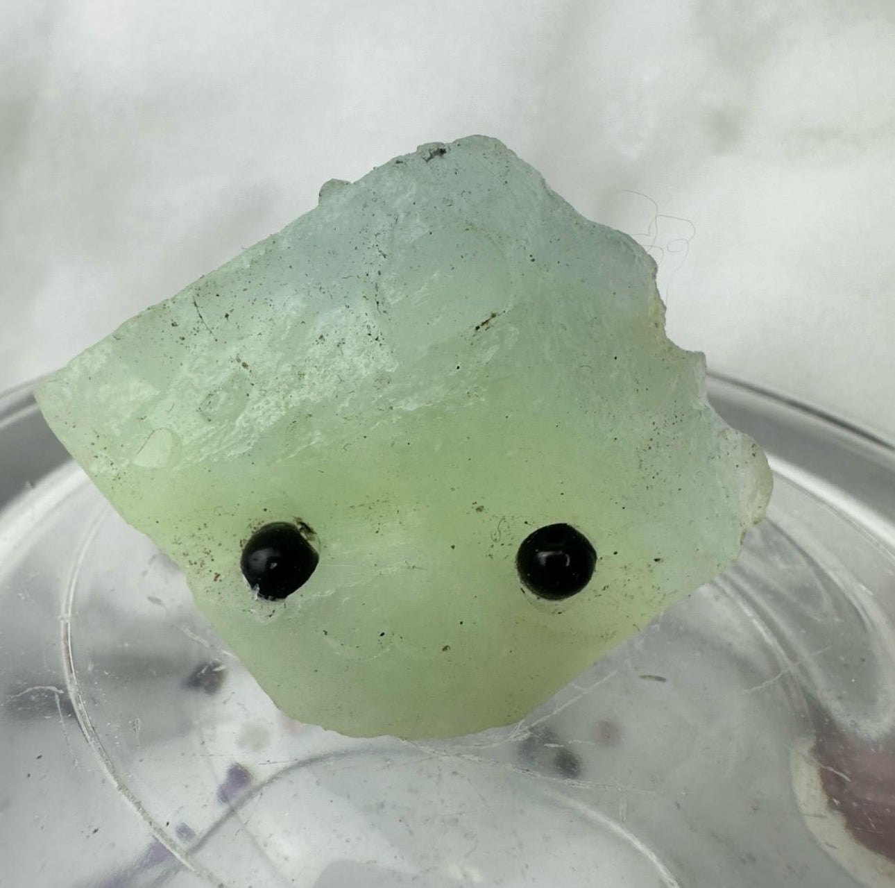 Crystal Critters - Specimen