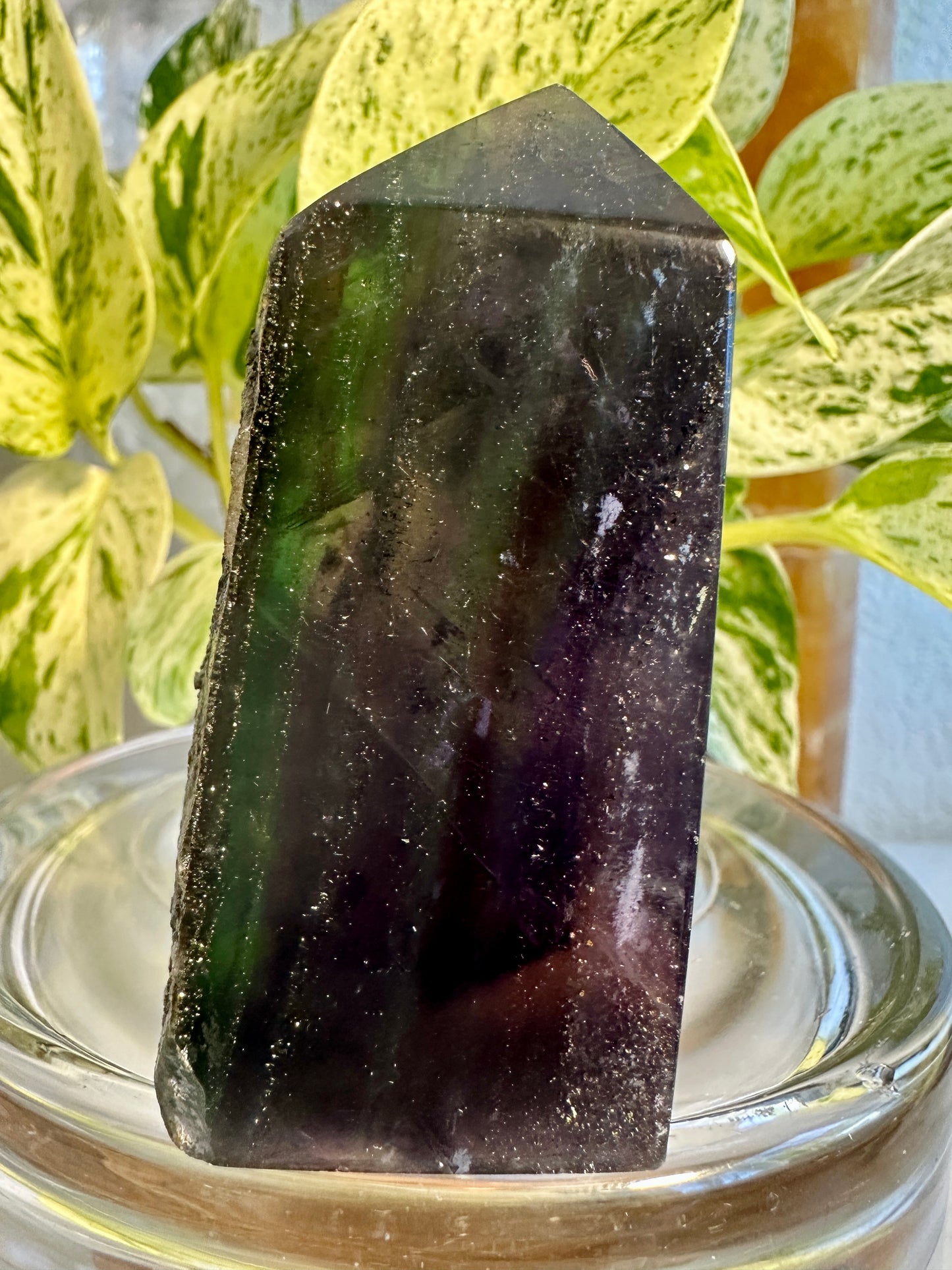 Pyrite in Fluorite Raw Edge Tower — B
2.7 in tall × 1.3 in wide × 1 in thick | 5.4 oz
Abundance | Clarity | Empowered Focus - Katie's Mystic Crystals