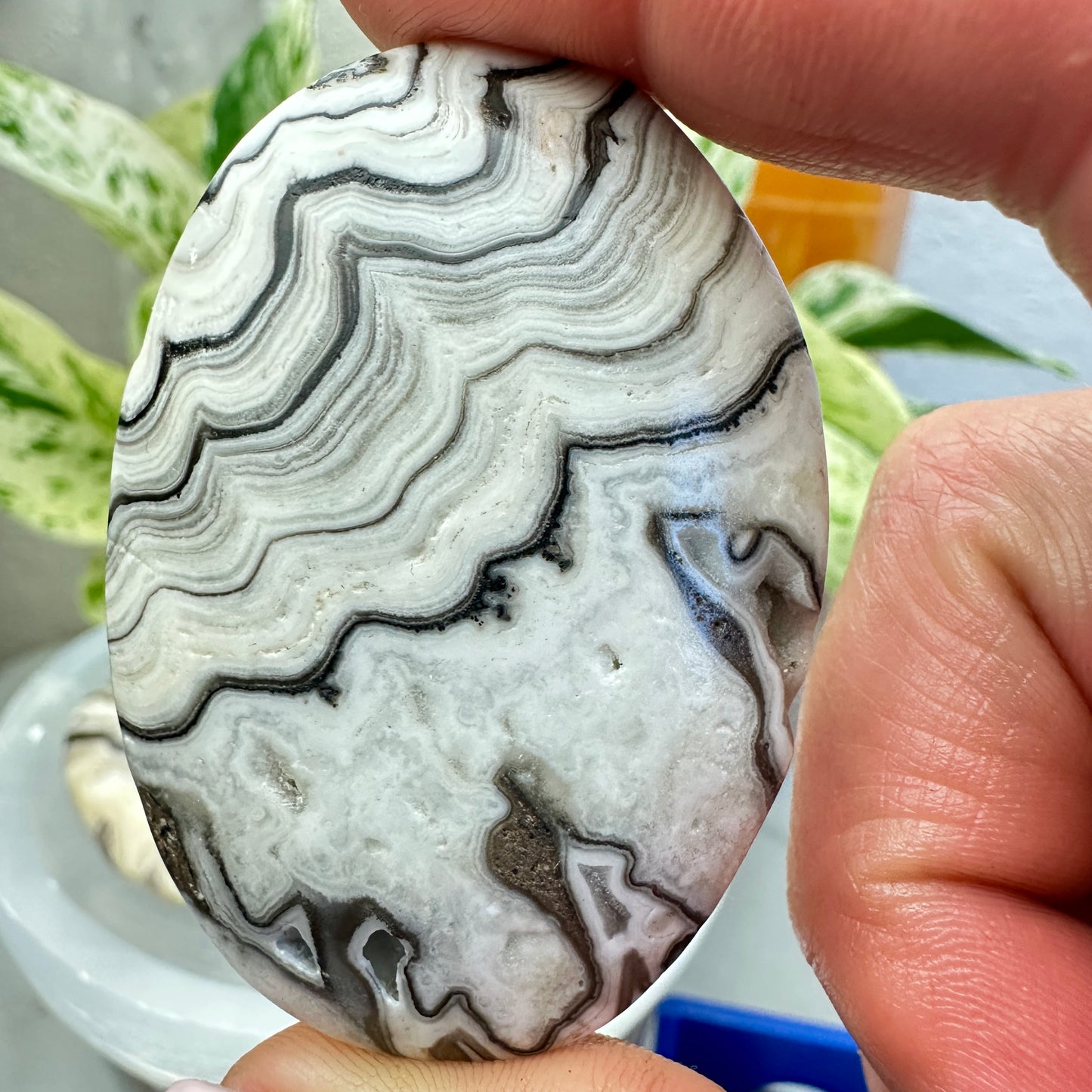 Panda Calcite Palm Stone