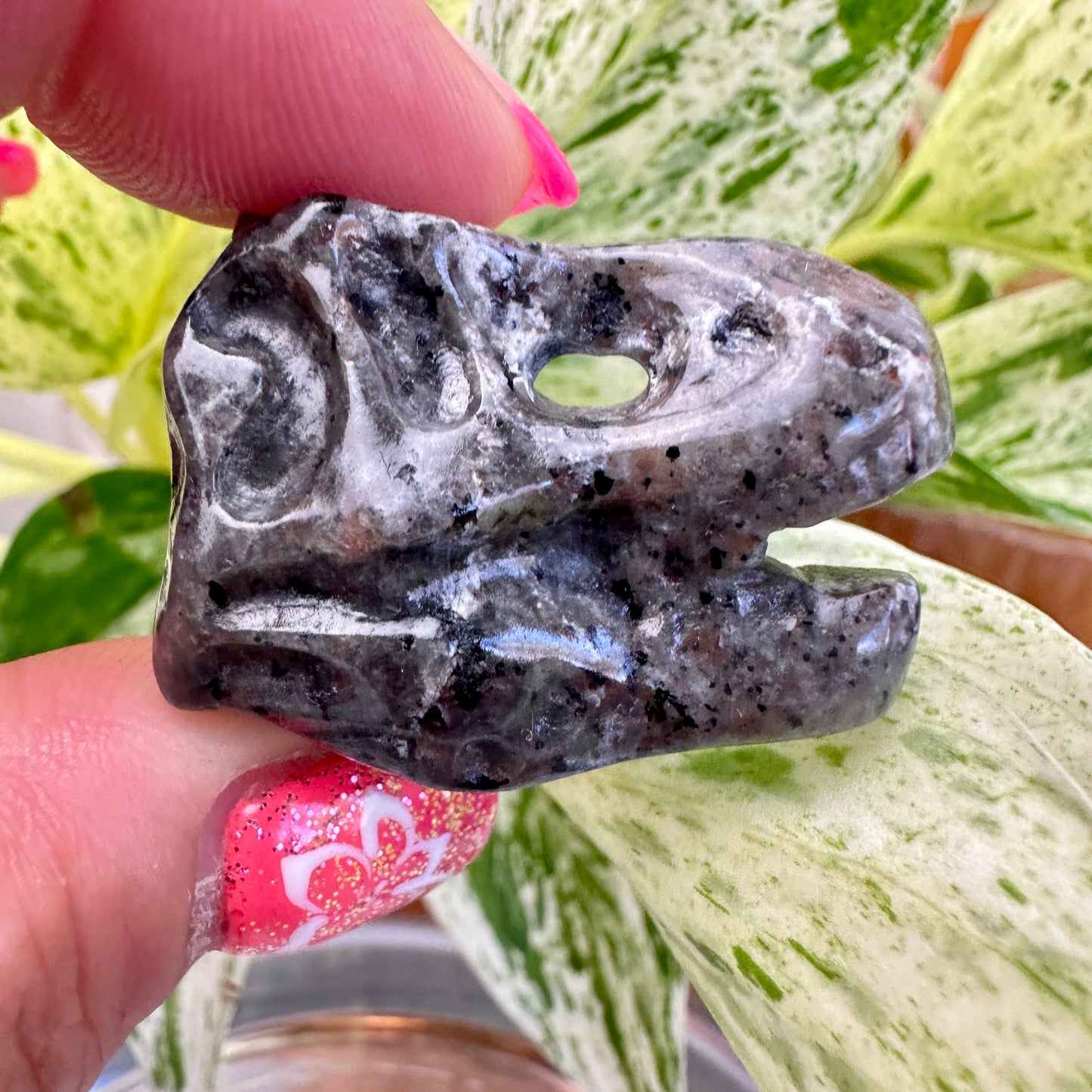 Crystal T-Rex Skulls