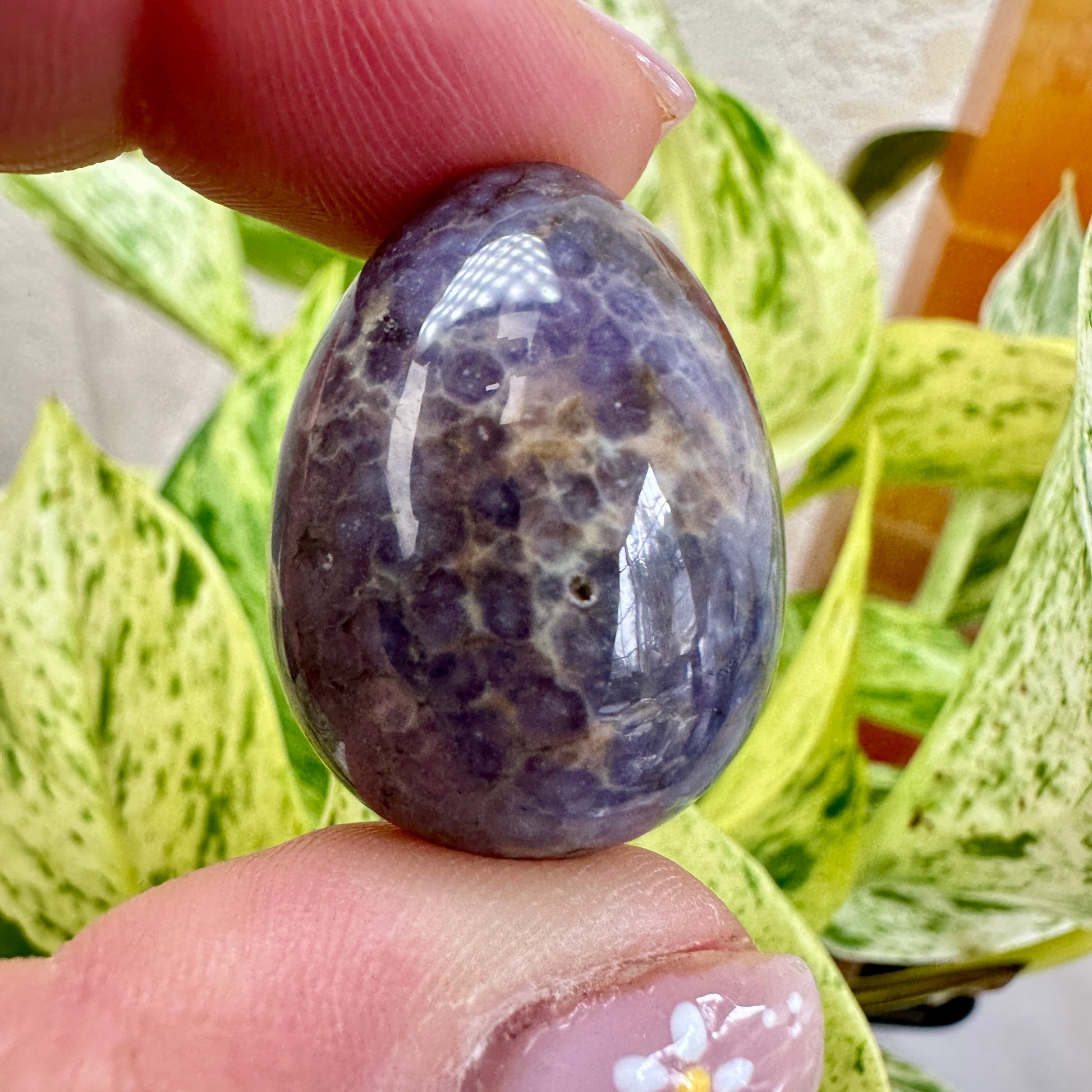 Grape Agate Egg - 1.1-1.25 inch - Katie's Mystic Crystals