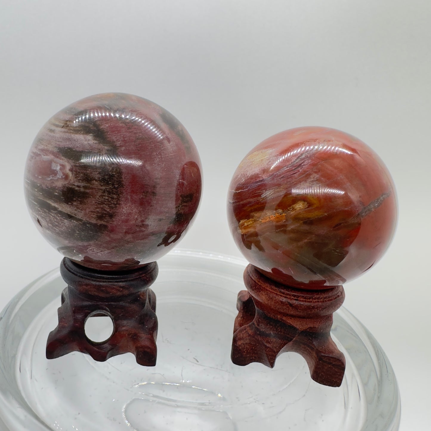 Petrified Wood Spheres - Katie's Mystic Crystals