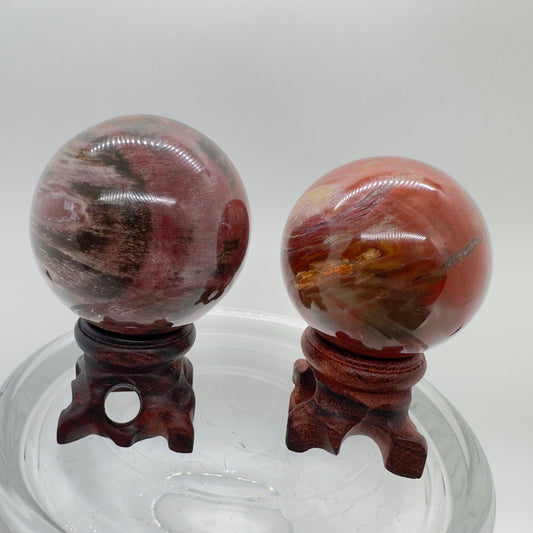 Petrified Wood Spheres - Katie's Mystic Crystals