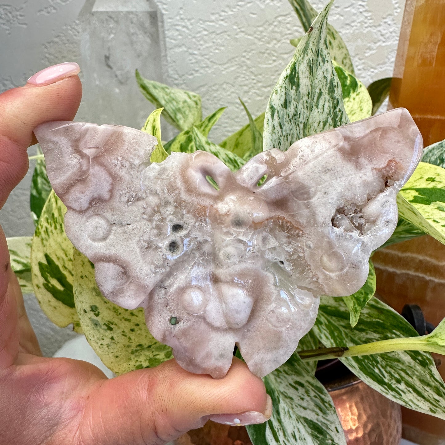Flower Agate Butterfly - Intuitive Pick - 3.4-3.7 inch wing span - Katie's Mystic Crystals