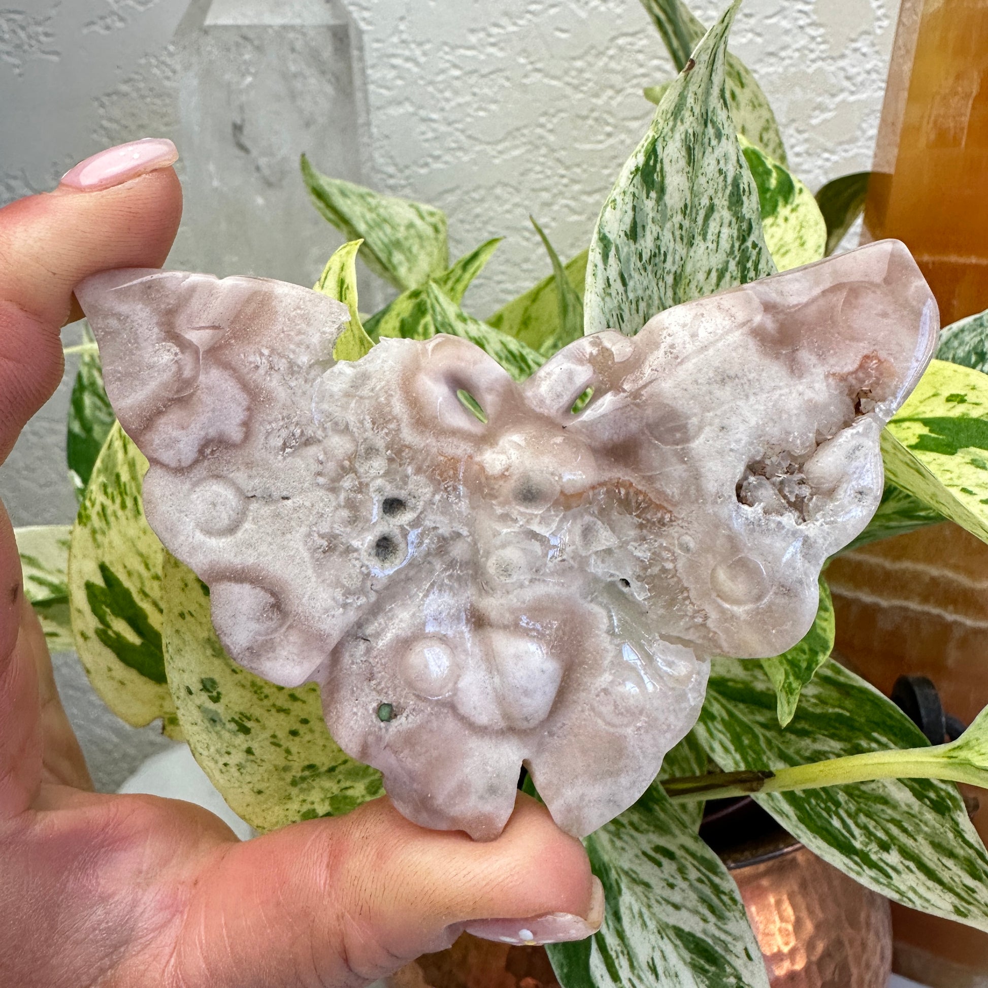 Flower Agate Butterfly - Intuitive Pick - 3.4-3.7 inch wing span - Katie's Mystic Crystals