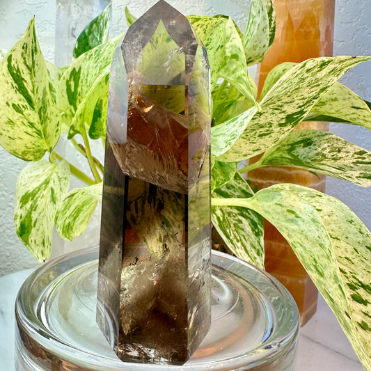 Smoky Quartz Points — High Quality | From Brazil
Grounding | Protection | Transformation - Katie's Mystic Crystals