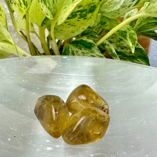 Natural Citrine Tumbles - Brazil