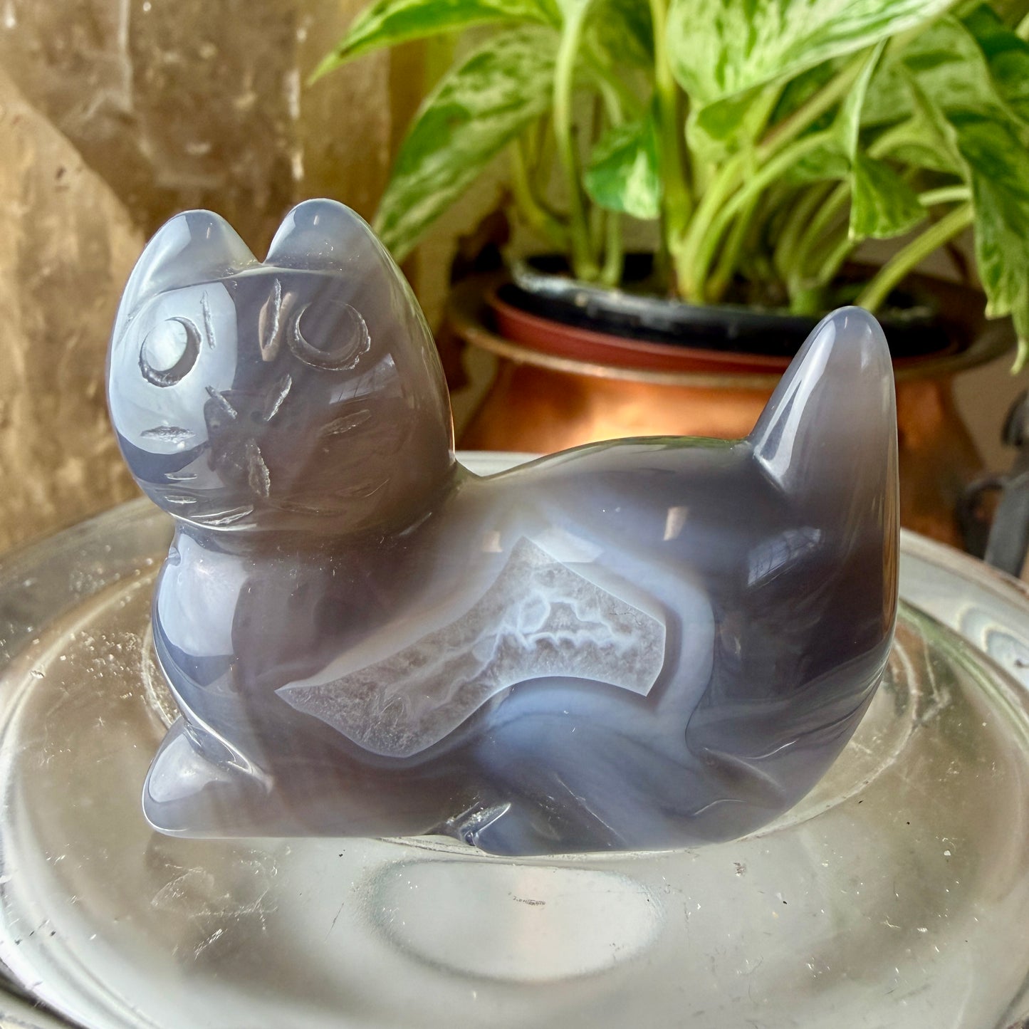 Agate Cat Crystal Carving | Blue Lace Agate Energy & Protection | Unique You-Pick Piece