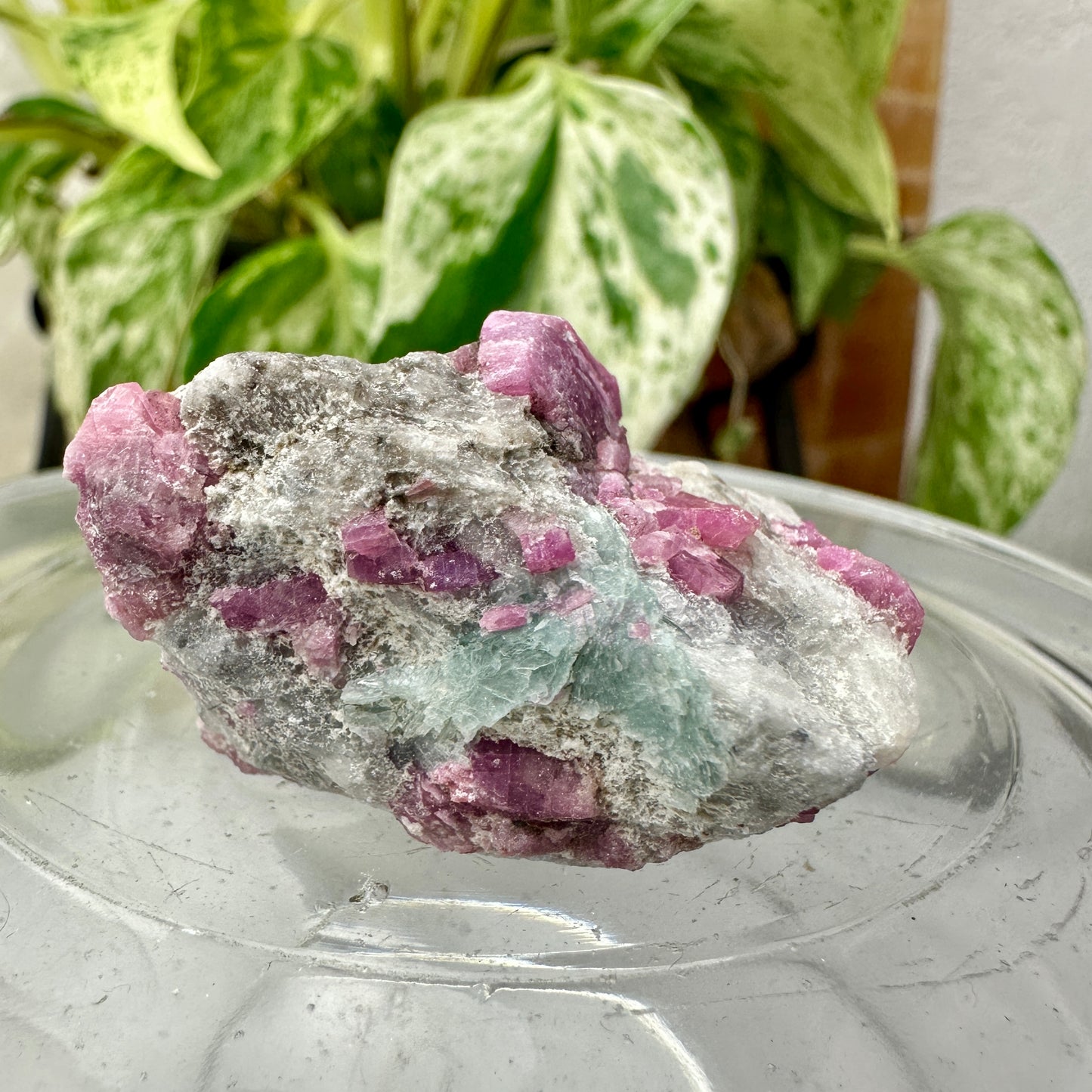 Ruby & Blue Kyanite Raw Specimen – Inner Strength + Intuition + Chakra Alignment (34g)