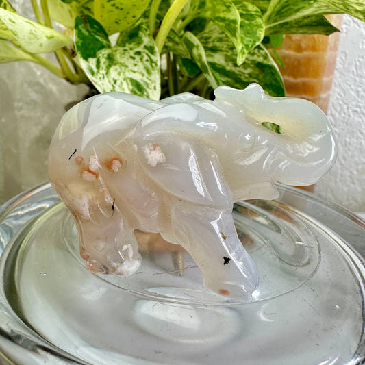 Agate Elephant Carving - 2.5 inch