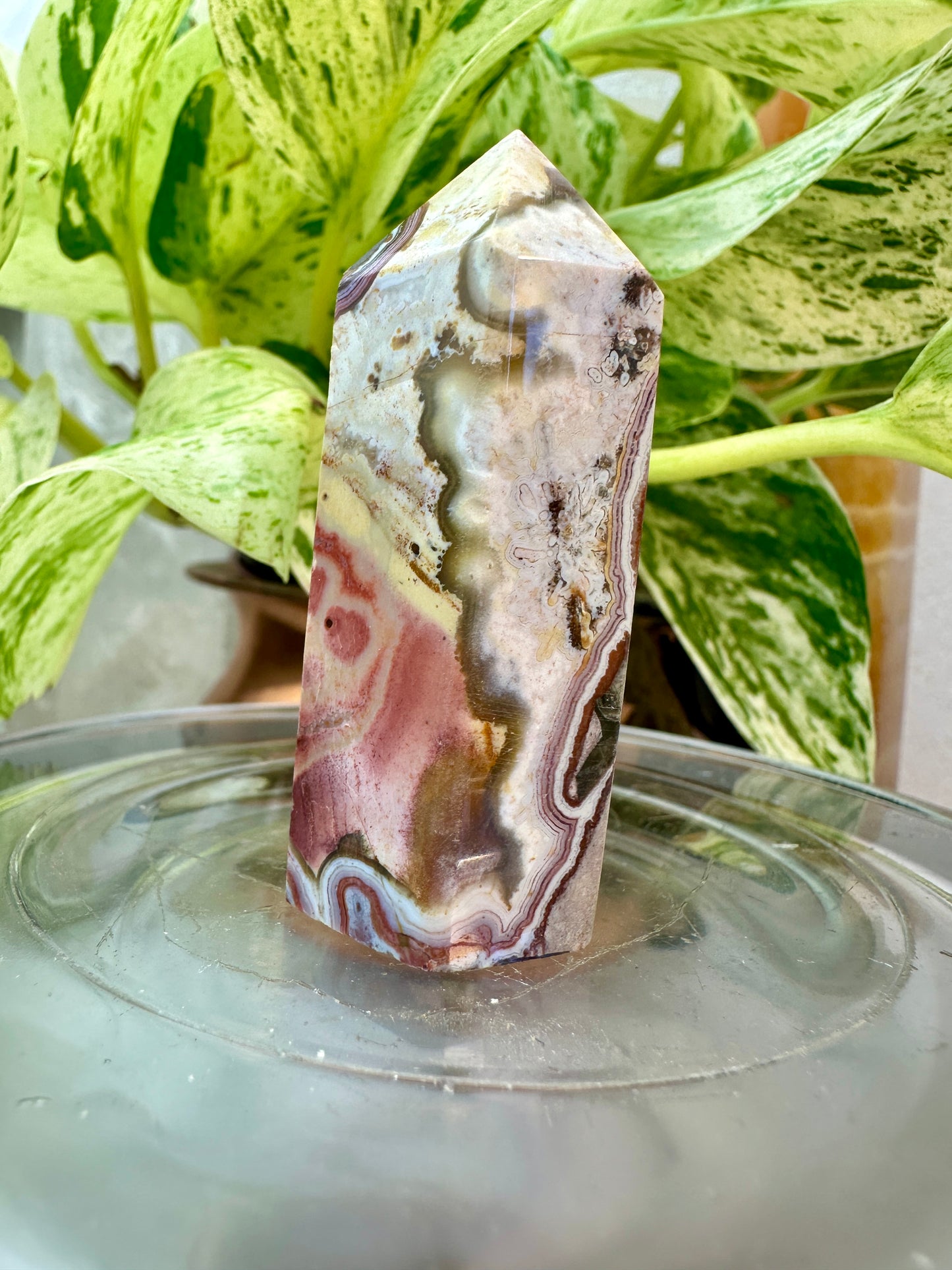 Crazy Lace Agate Points – You Pick
Joy | Focus | Inner Stability