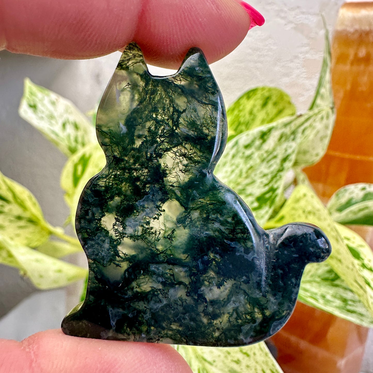 Moss Agate Slab Cat