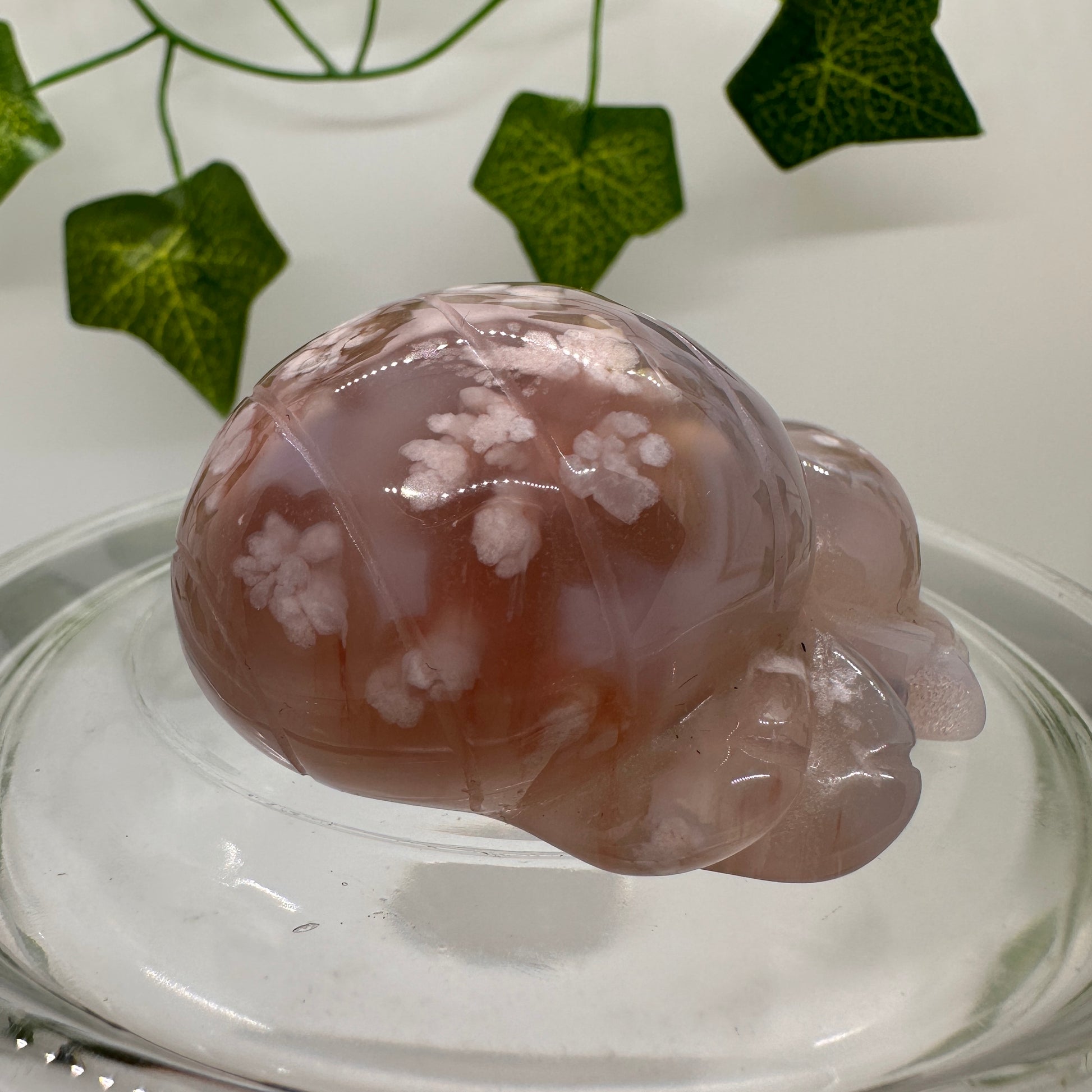 Flower Agate Spider - Katie's Mystic Crystals