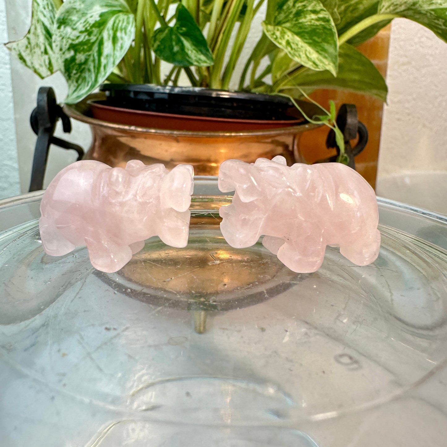 Micro Mini Crystal Hippos — Under 1 Inch
Gentle Strength • Emotional Balance • Playful Spirit