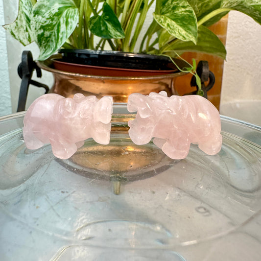 Micro Mini Crystal Hippos — Under 1 Inch
Gentle Strength • Emotional Balance • Playful Spirit