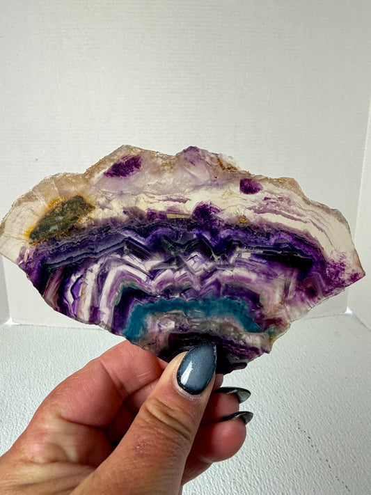 Natural Polished Fluorite Display Slab – Vibrant Color Zoned Banding & High-Clarity Slice