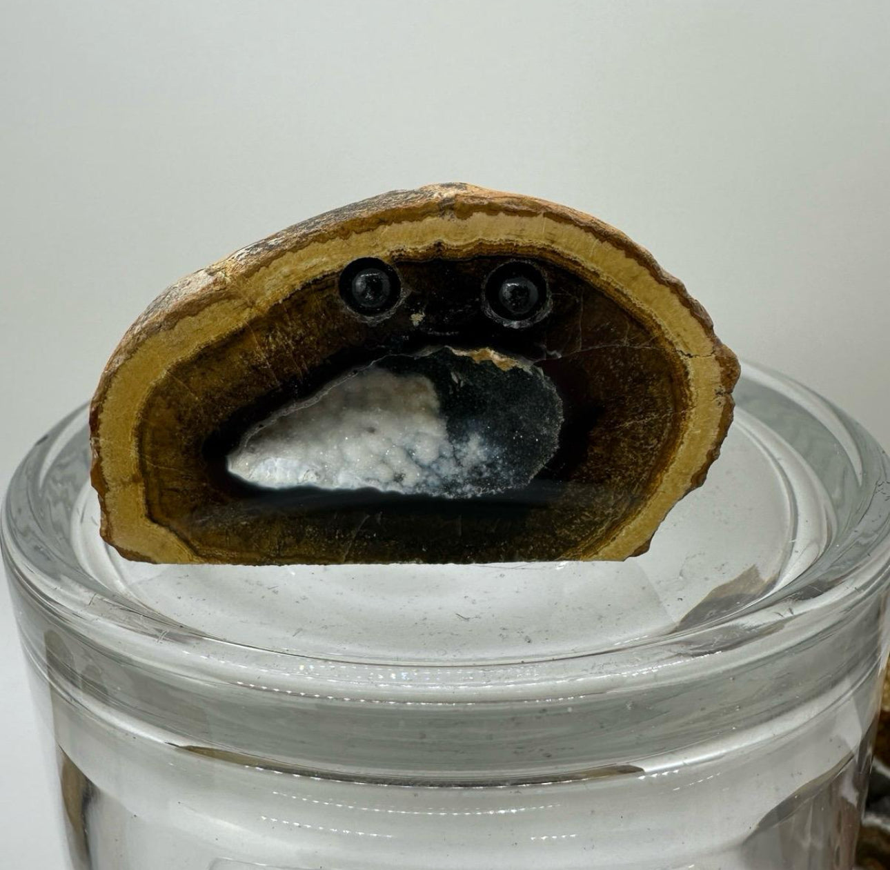 Crystal Critters- Geodes