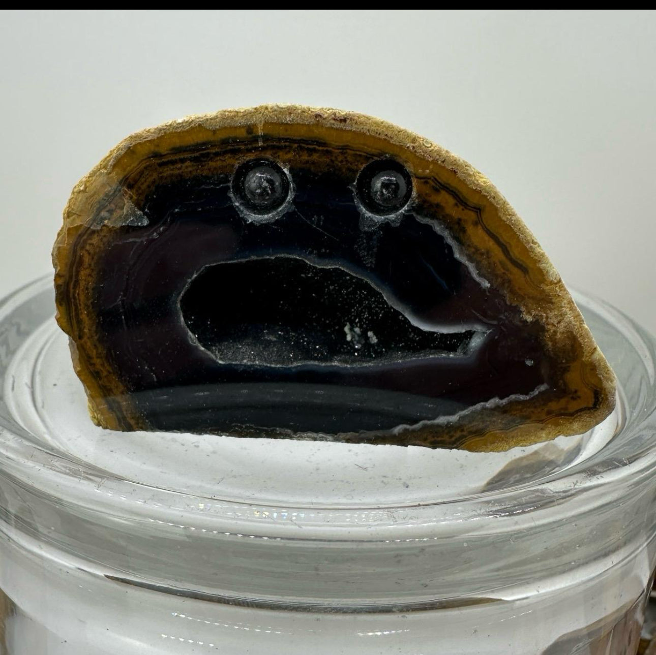 Crystal Critters- Geodes