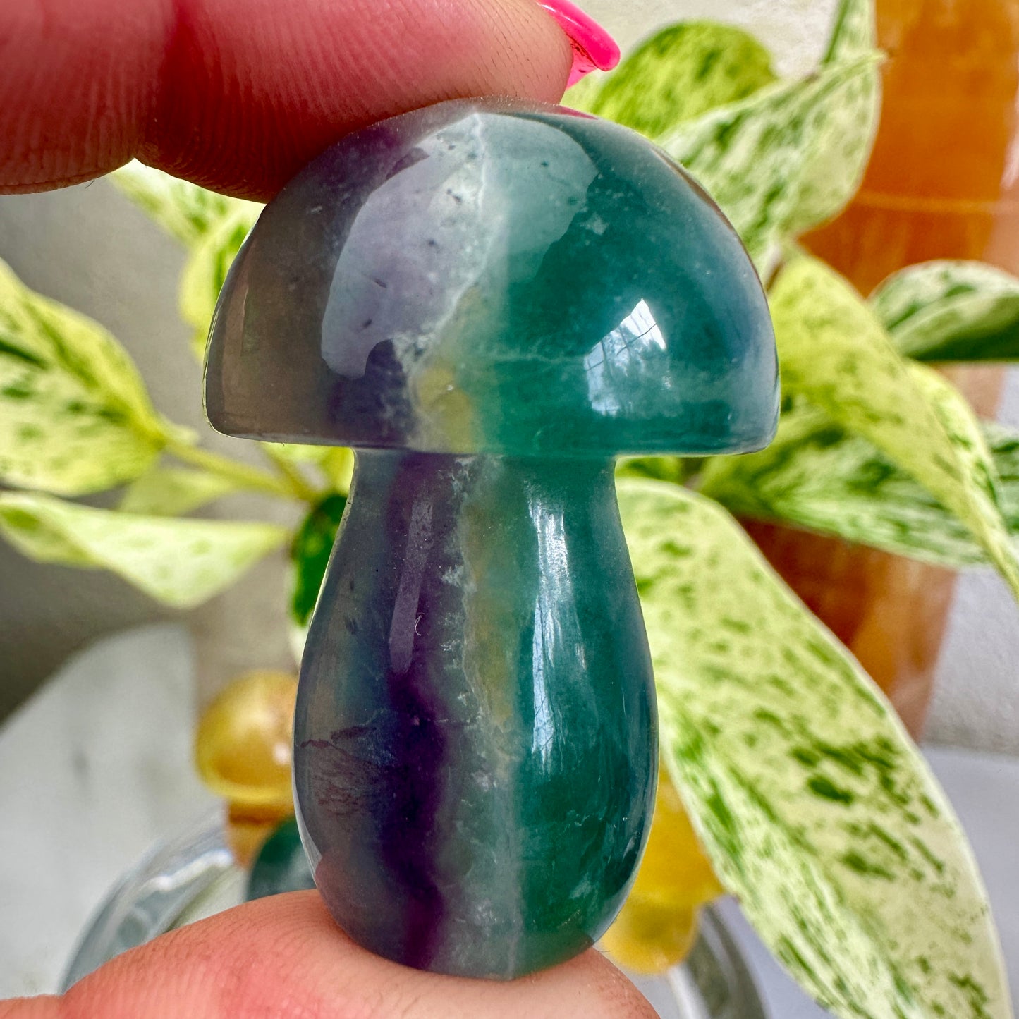 Fluorite Mushrooms