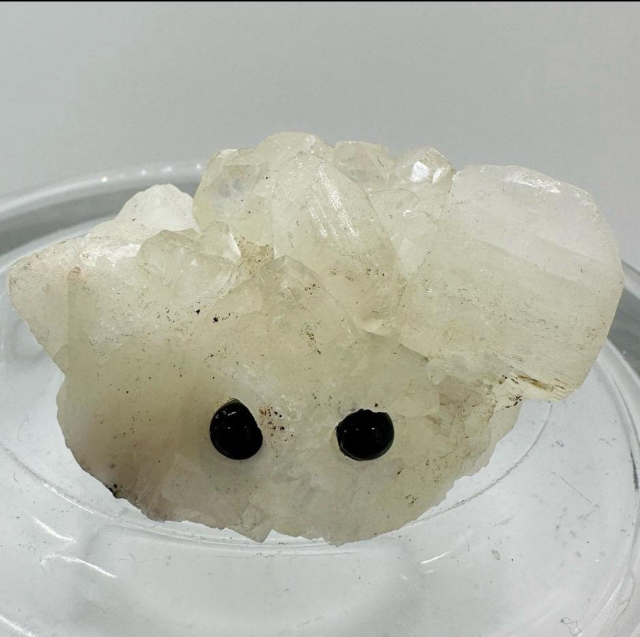 Crystal Critters - Specimen