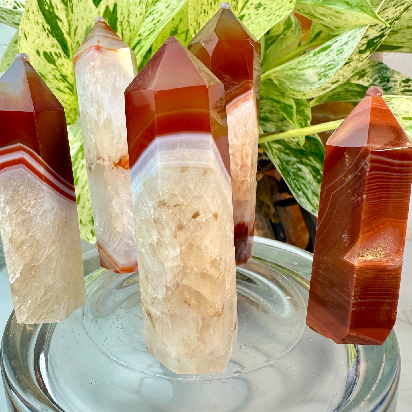 Carnelian Agate Points
Vitality | Creativity | Confidence